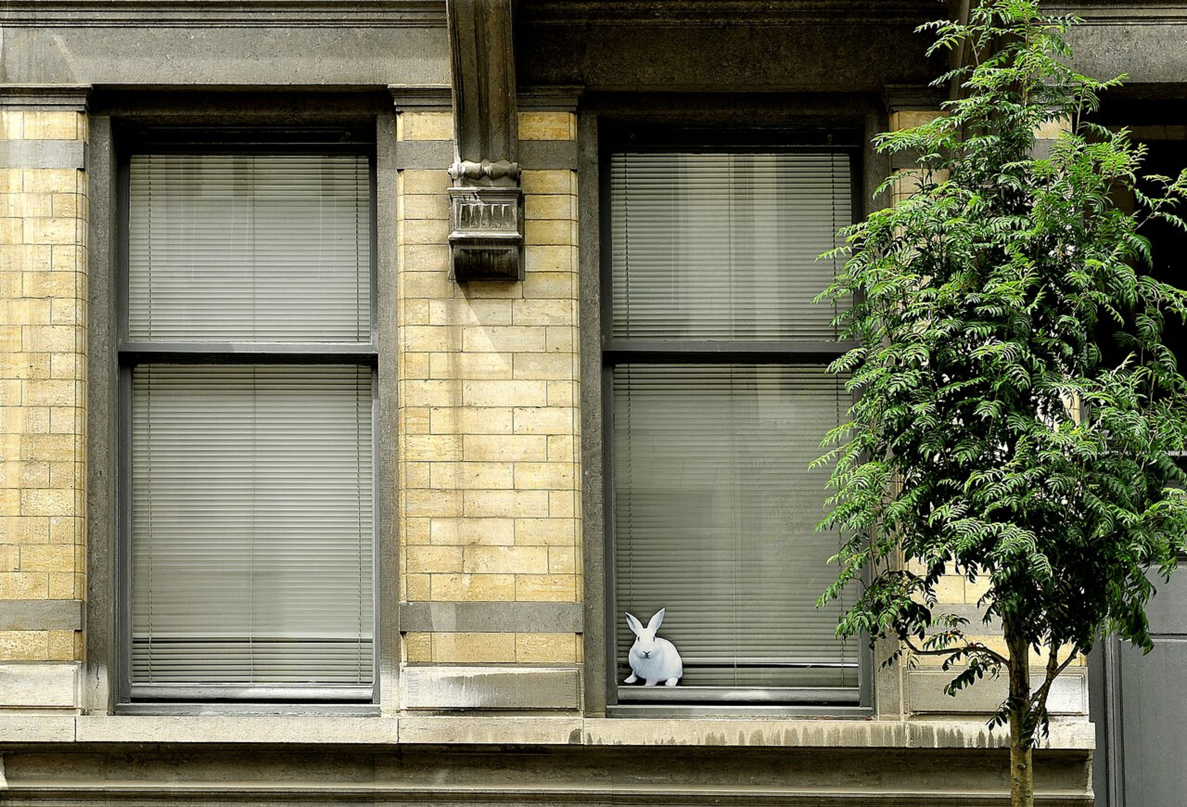 Ixelles Neighborhood