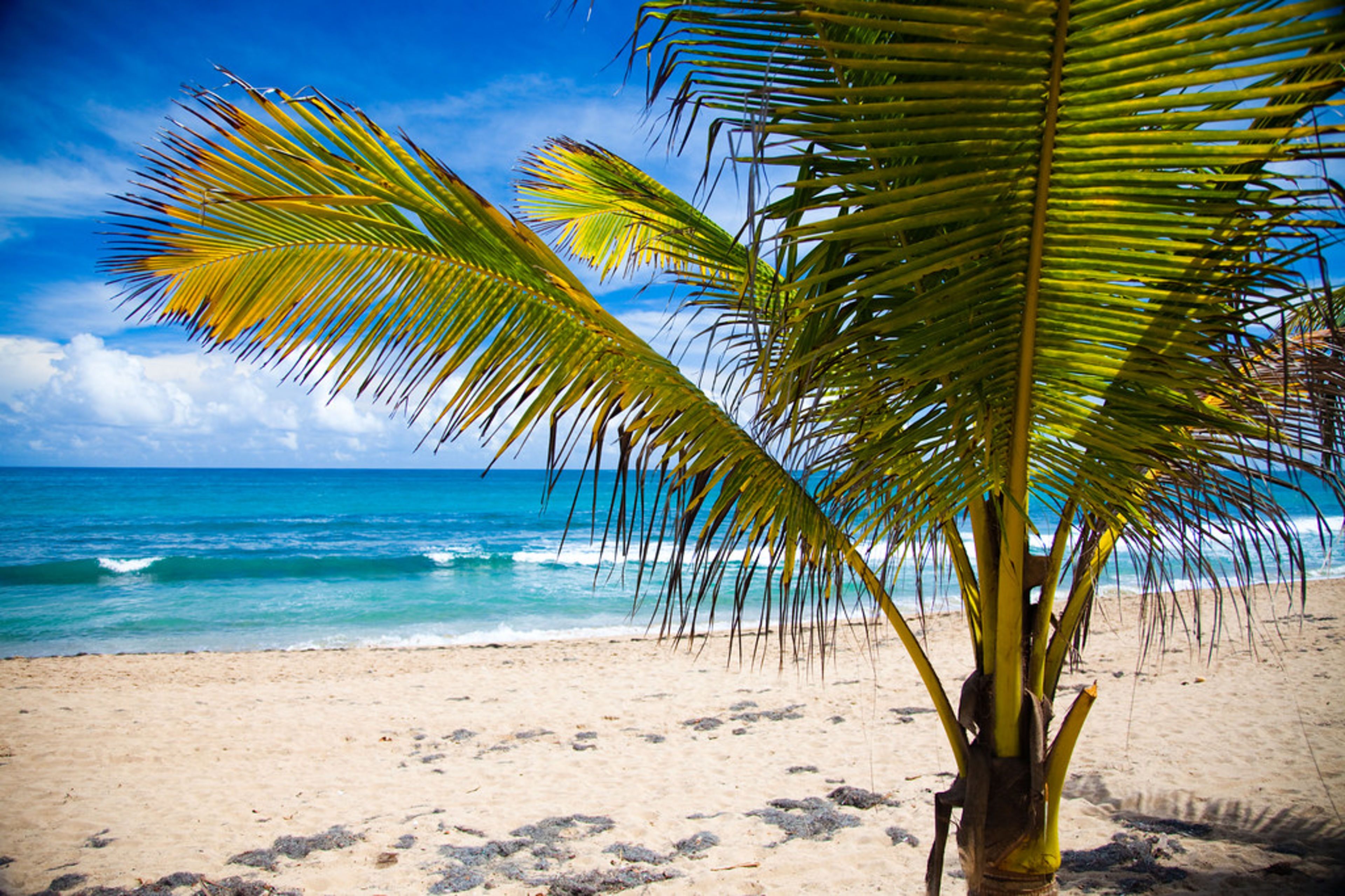 Condado Beach