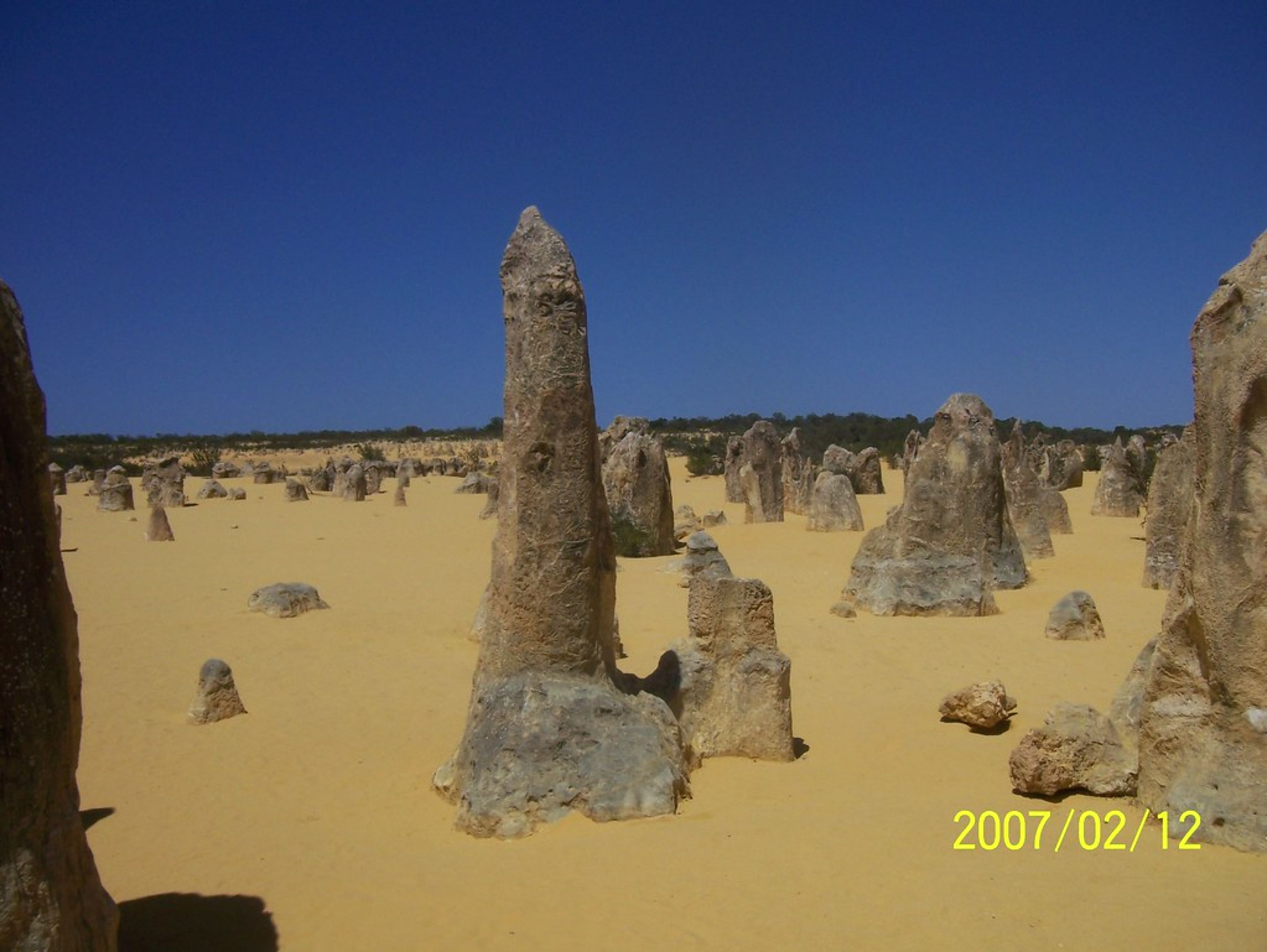 Pinnacles Desert (day trip)