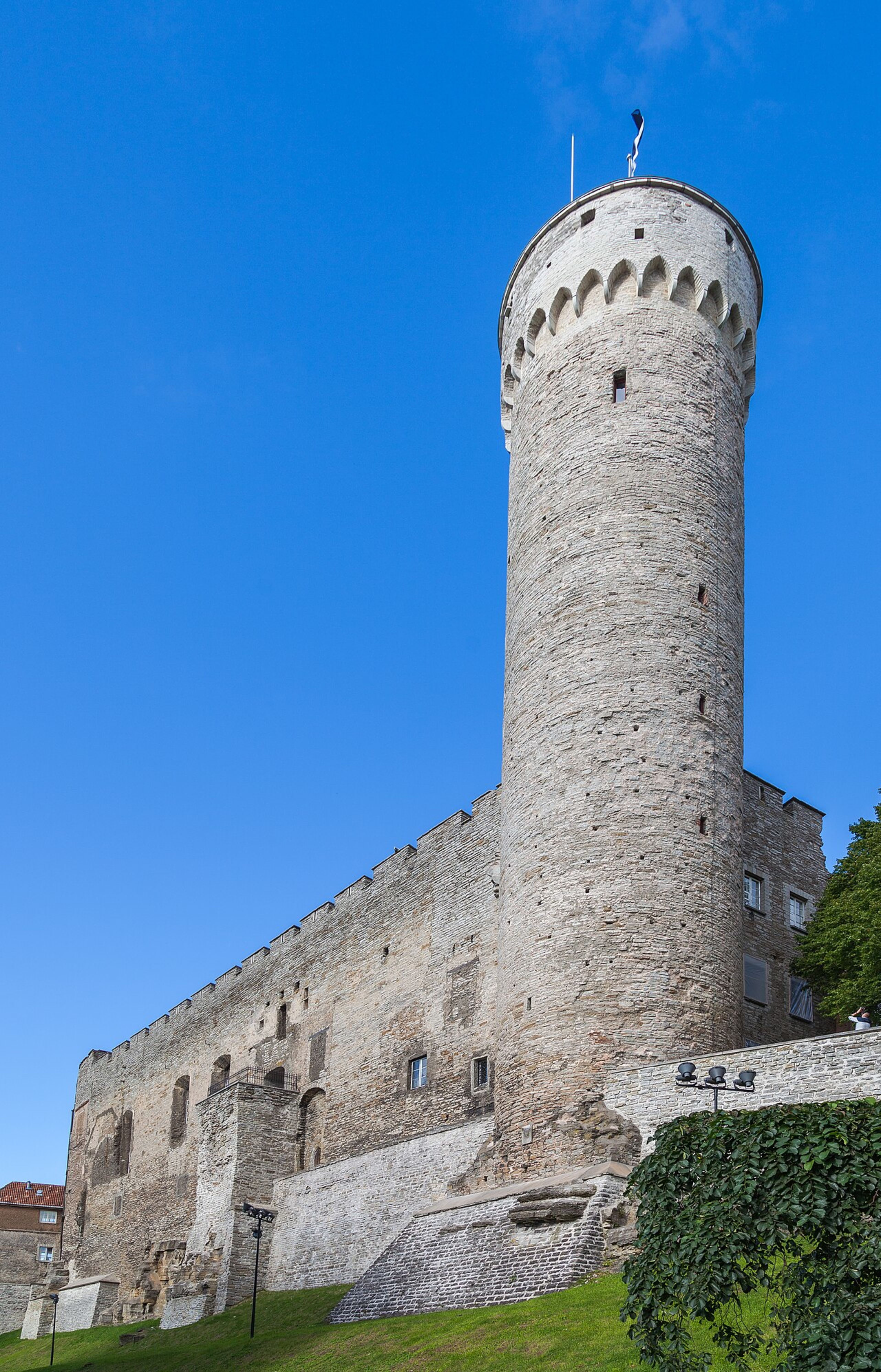 Tall Hermann Tower