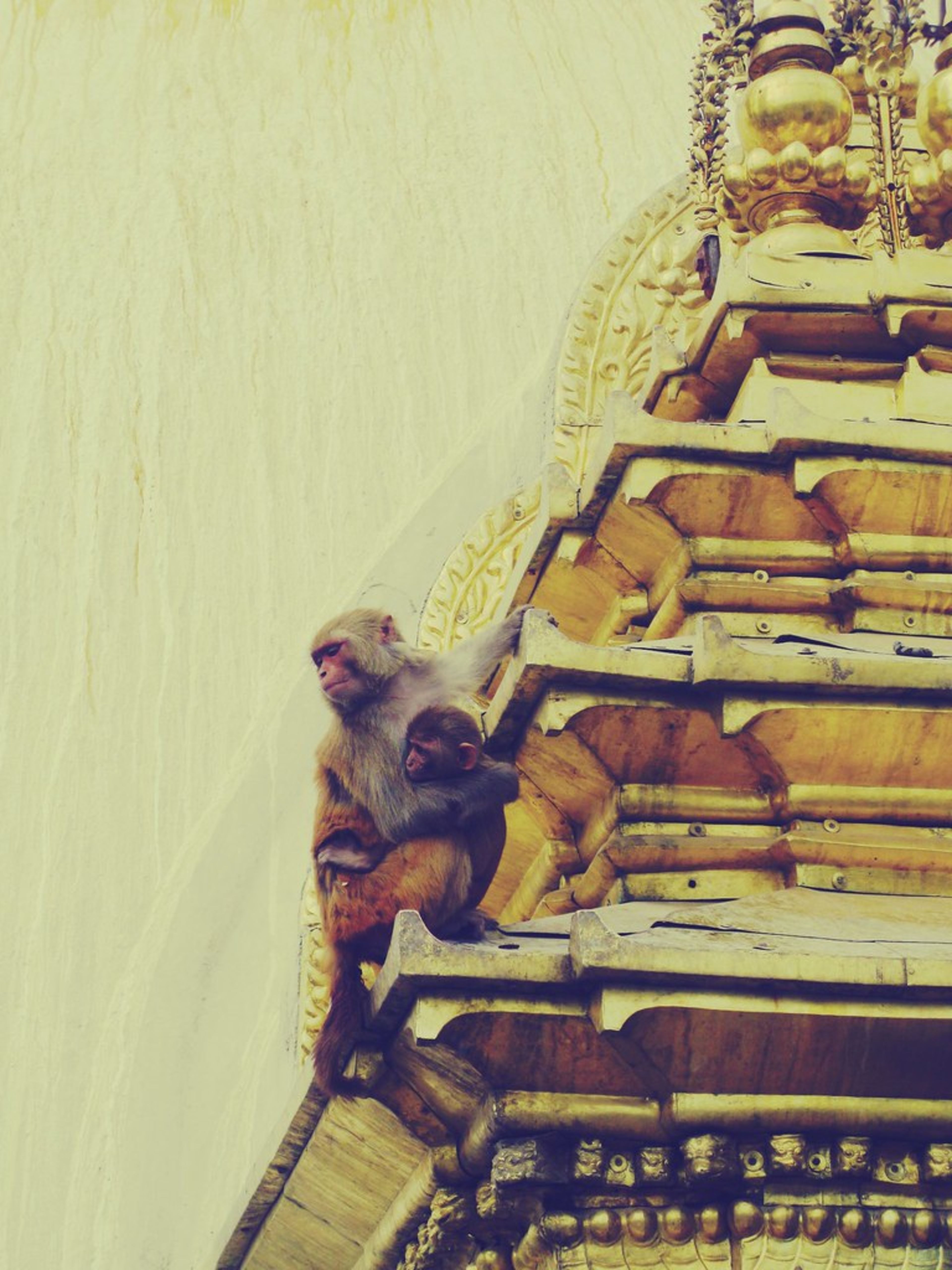 3 Days in Kathmandu: Ancient Temples and Adventure for Families