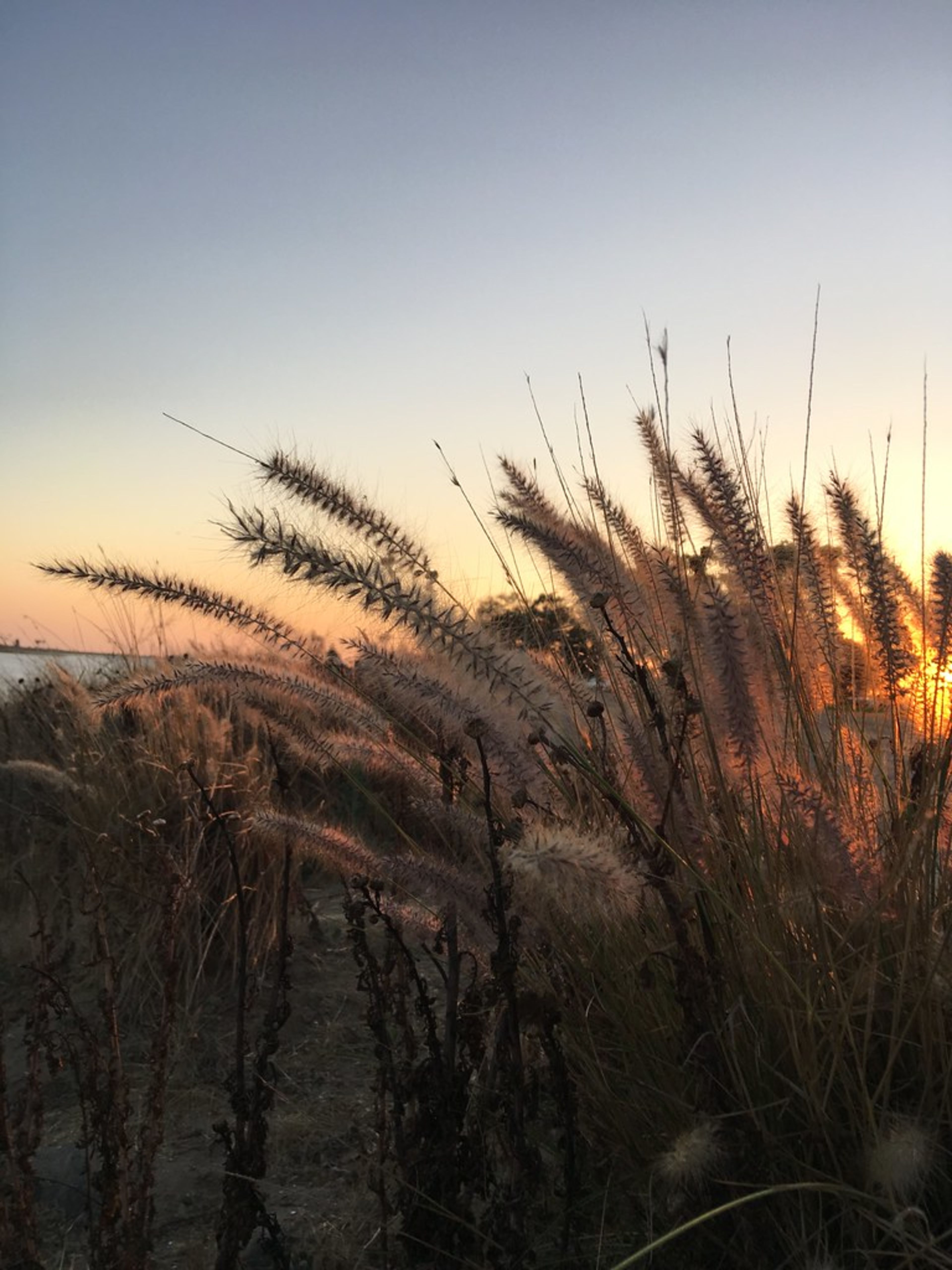 Mission Beach & Belmont Park