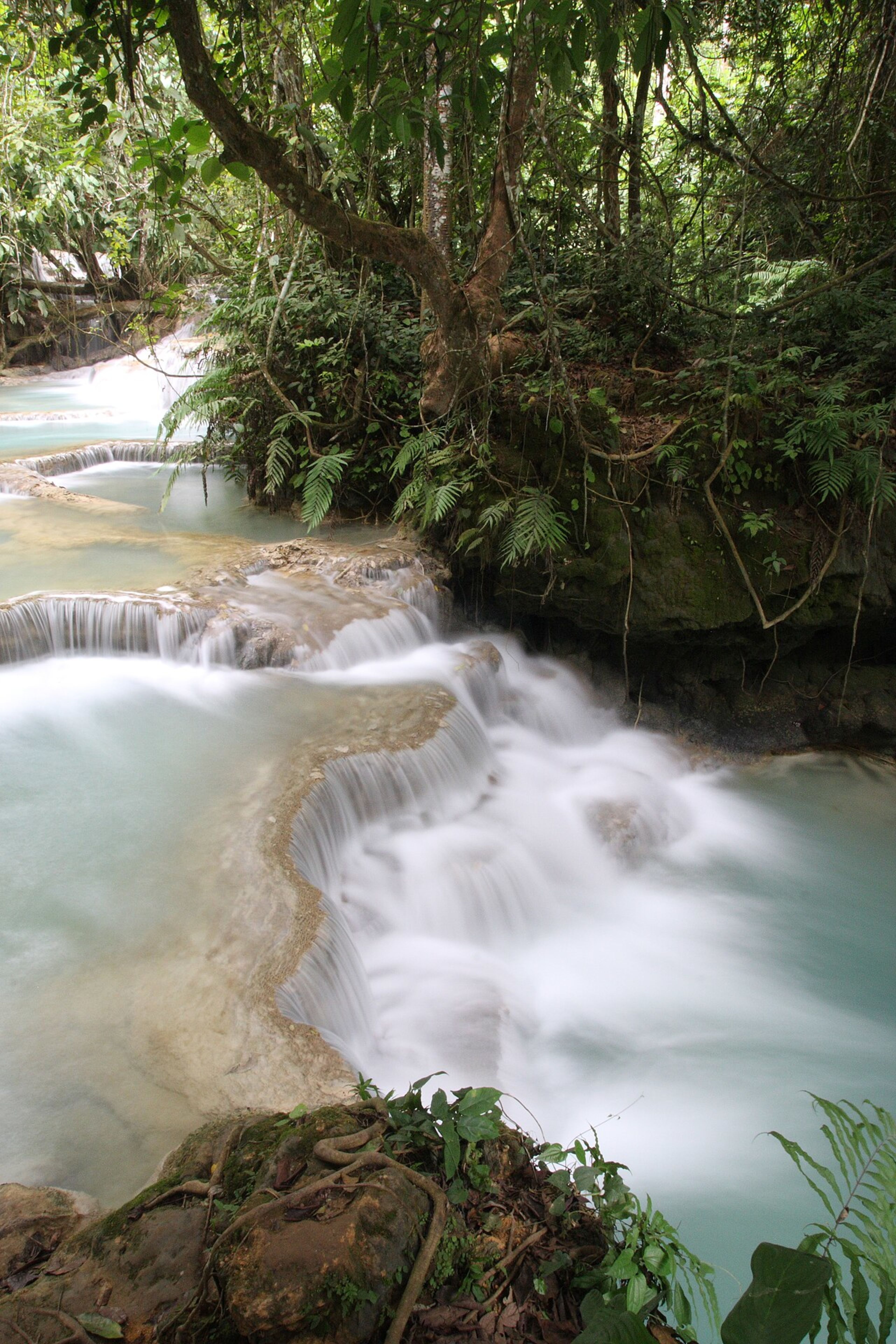 Kuang Si Falls (Tat Kuang Si)