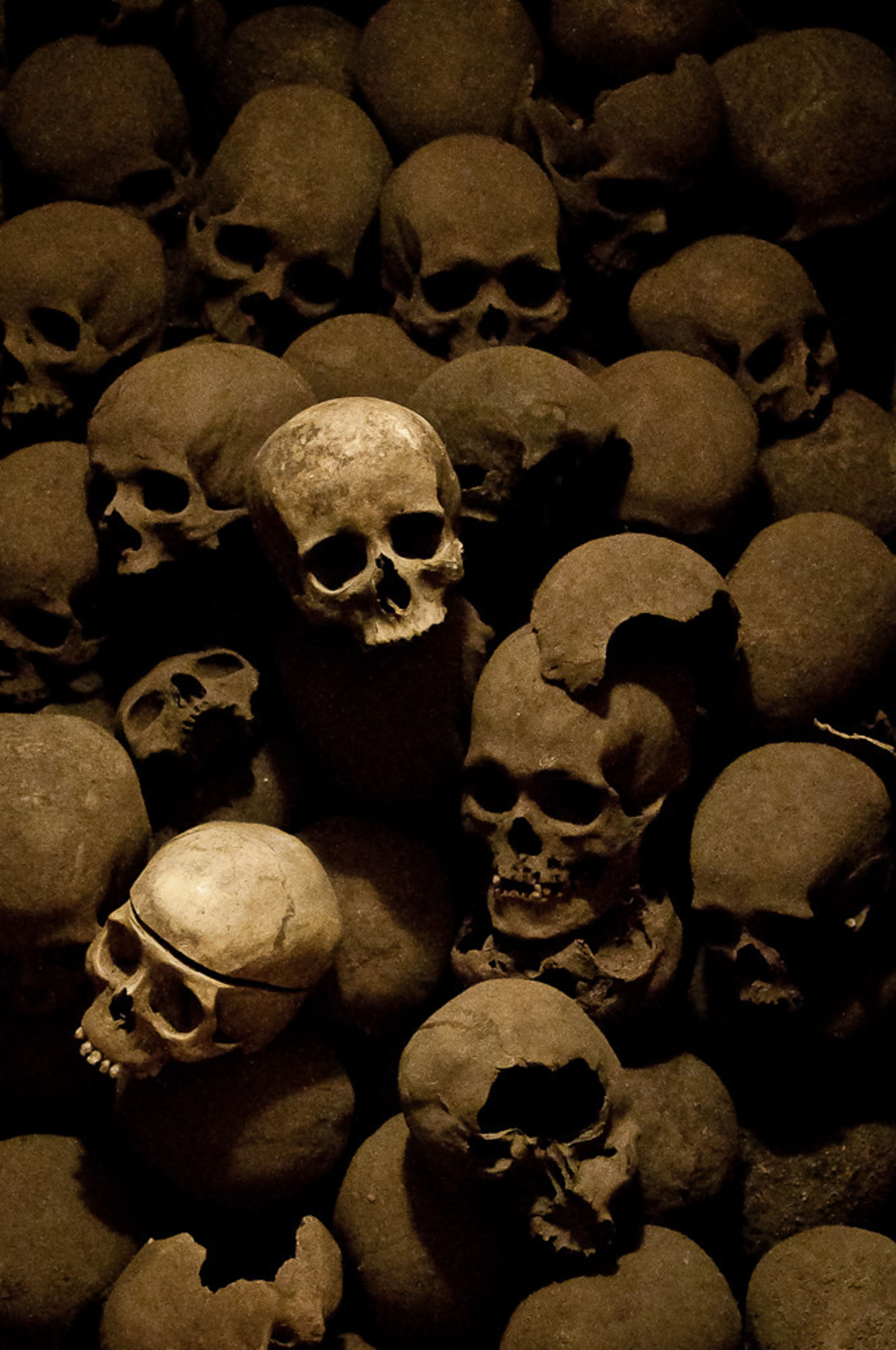 Iglesia de San Francisco & Catacombs
