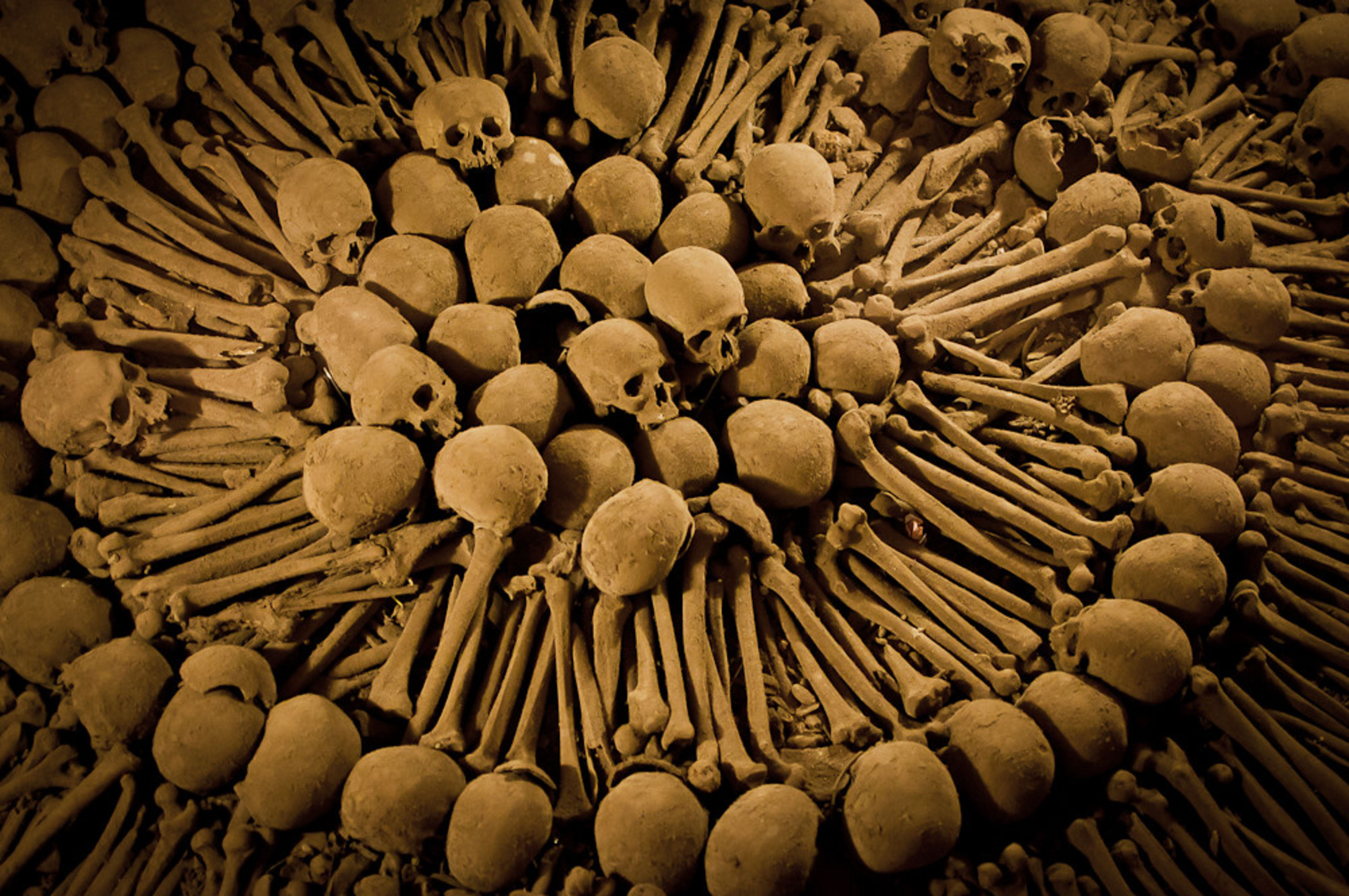 Iglesia de San Francisco & Catacombs