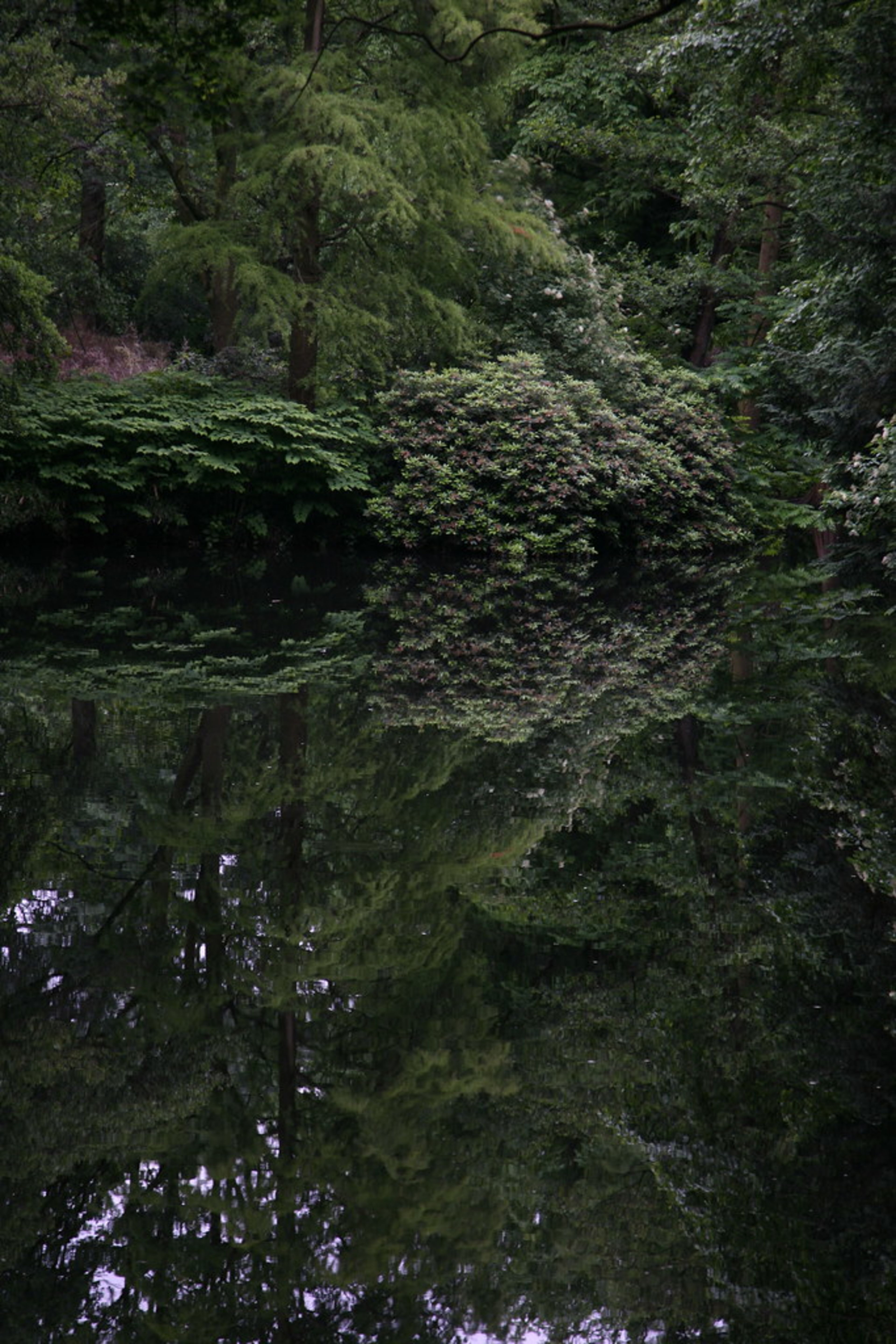 Tiergarten Park