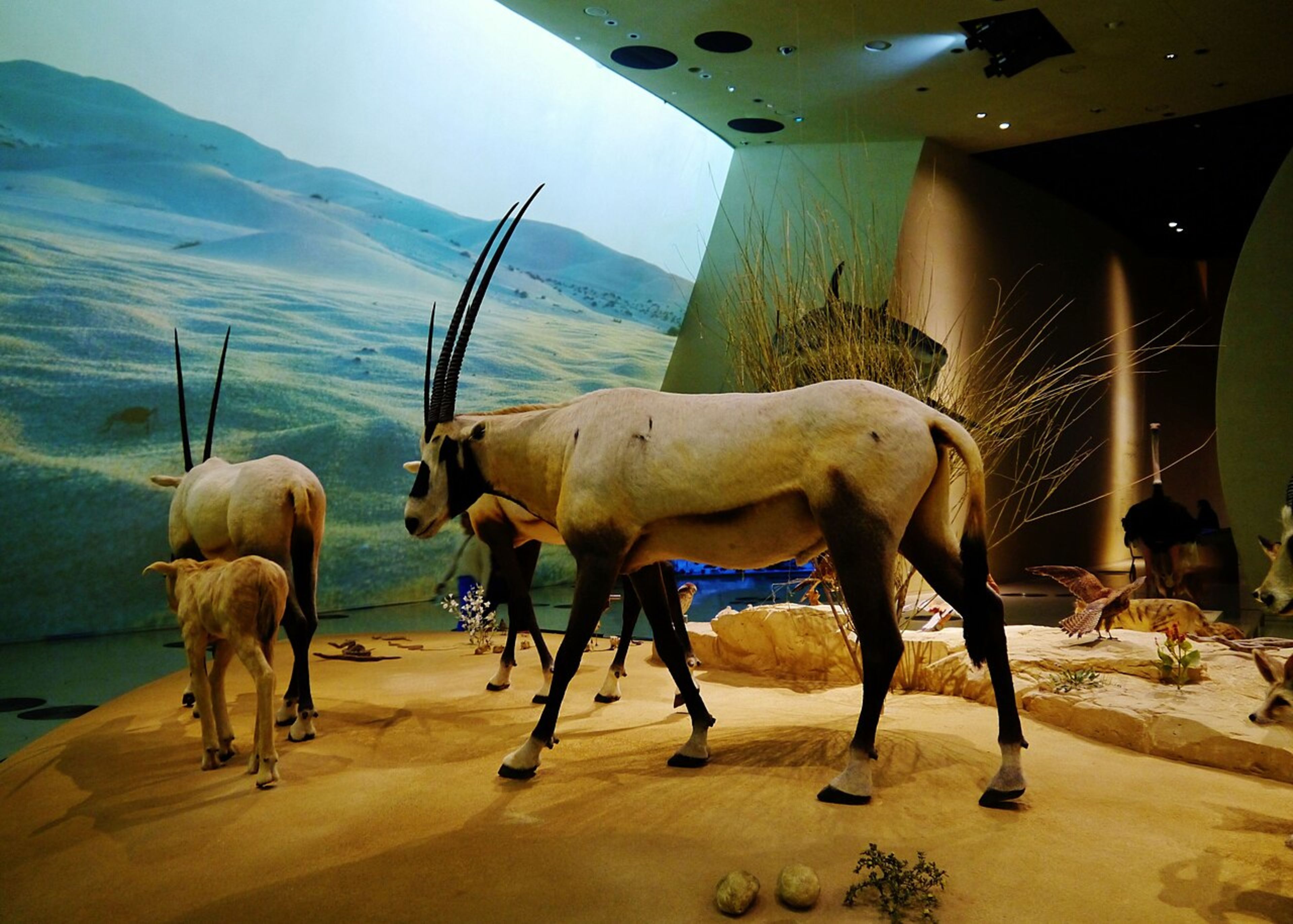 National Museum of Qatar