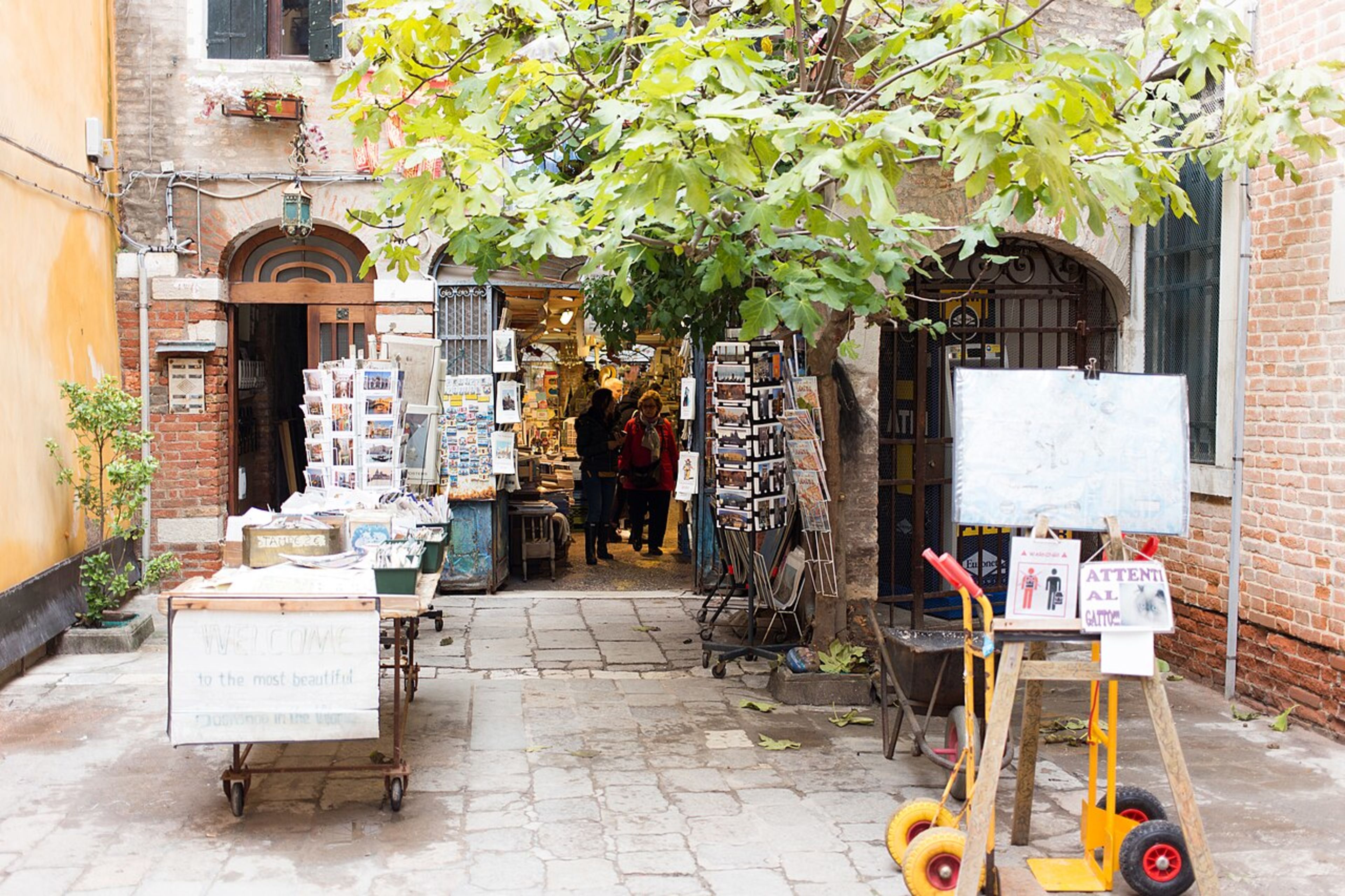 Libreria Acqua Alta (Bookshop)