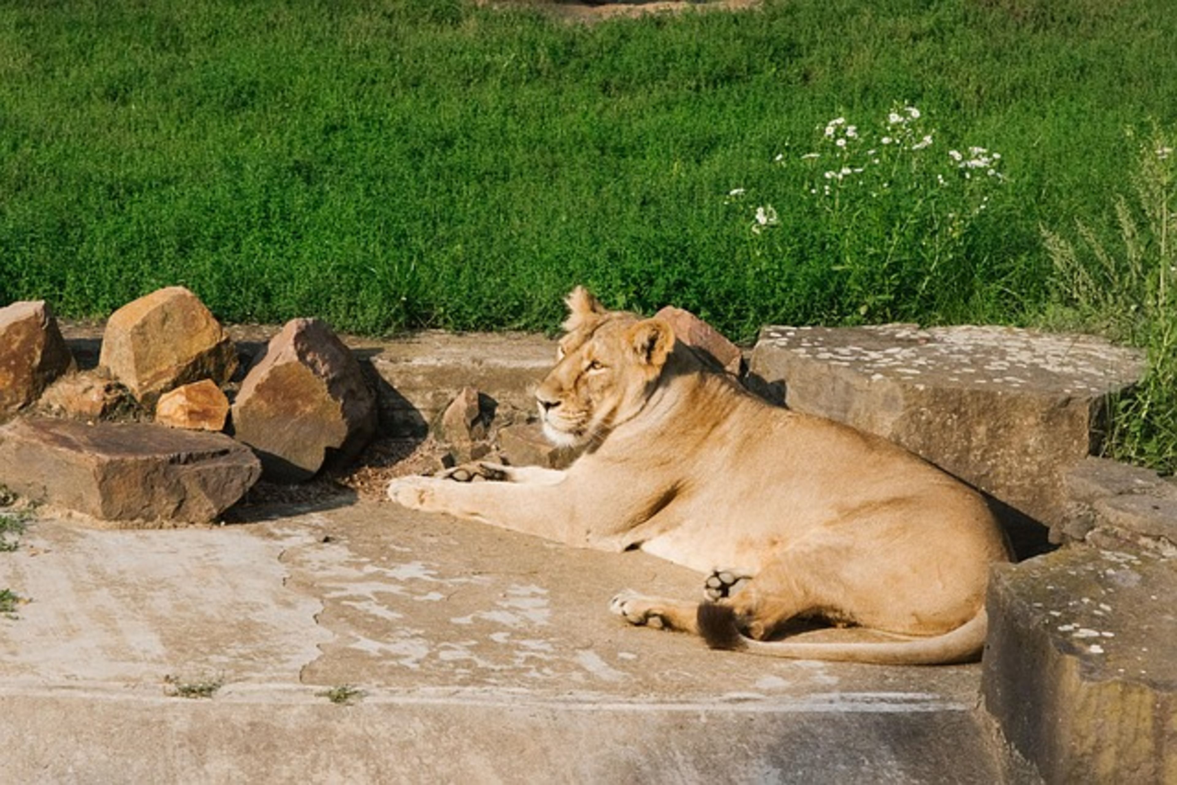 Prague Zoo