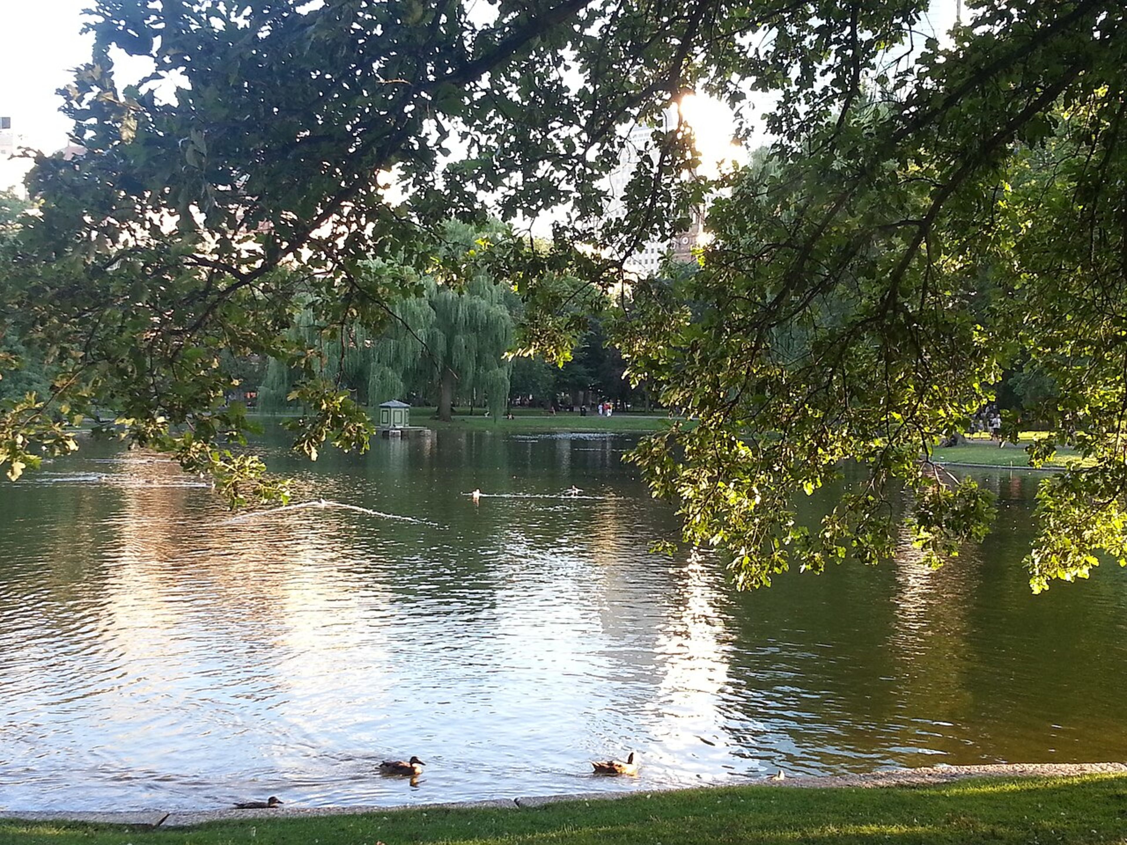 Boston Common