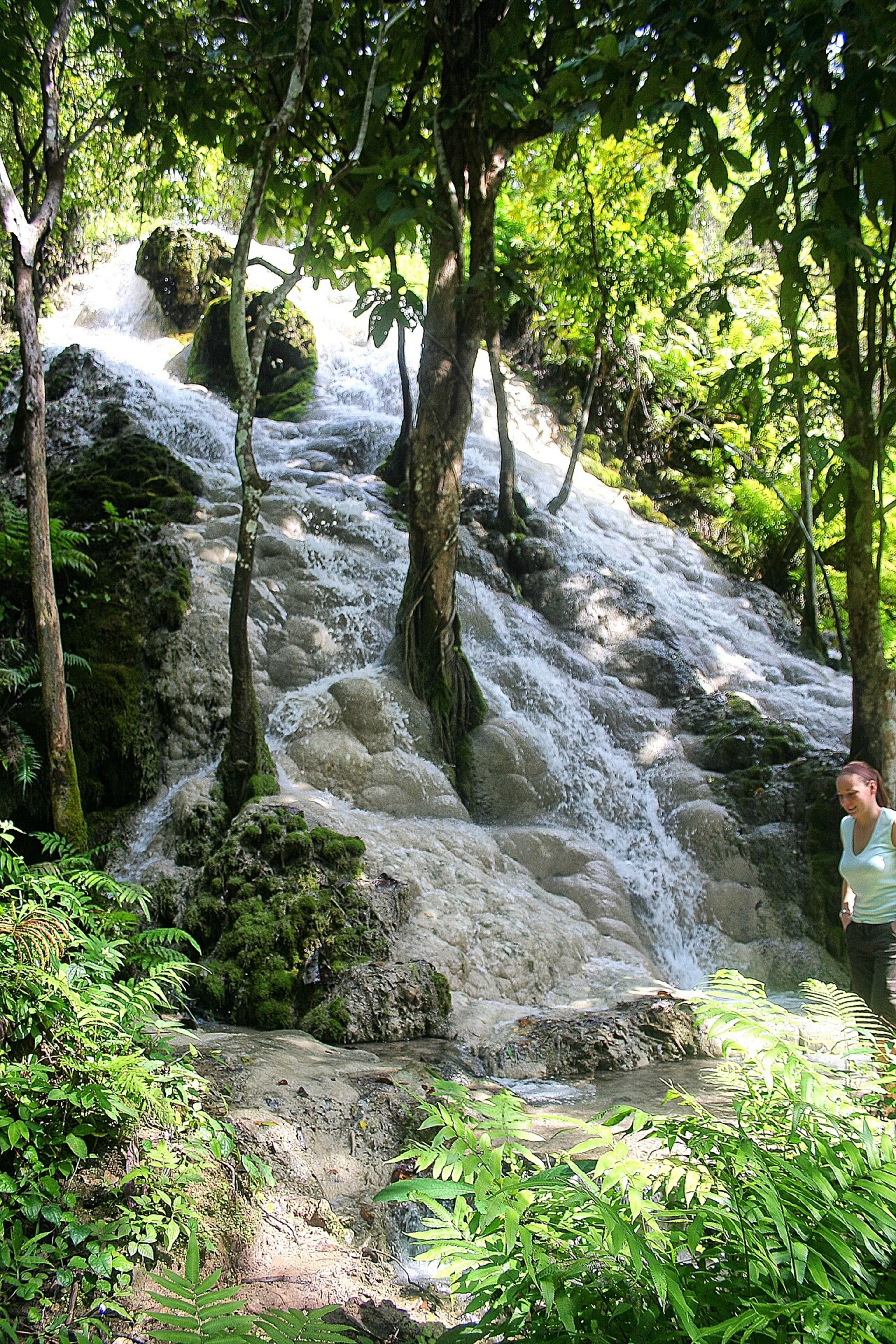 Bua Thong Sticky Waterfall
