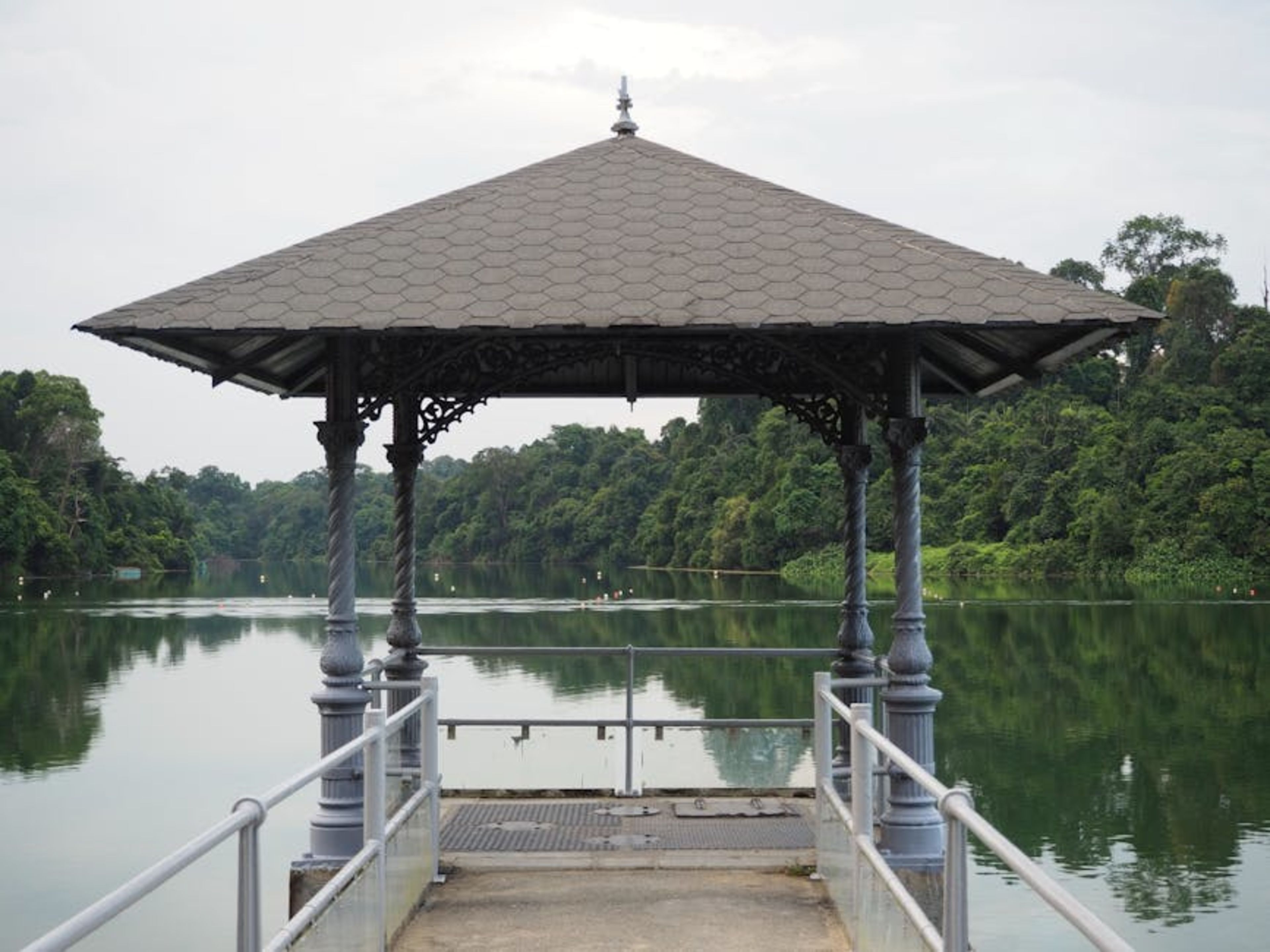 MacRitchie Reservoir & Treetop Walk