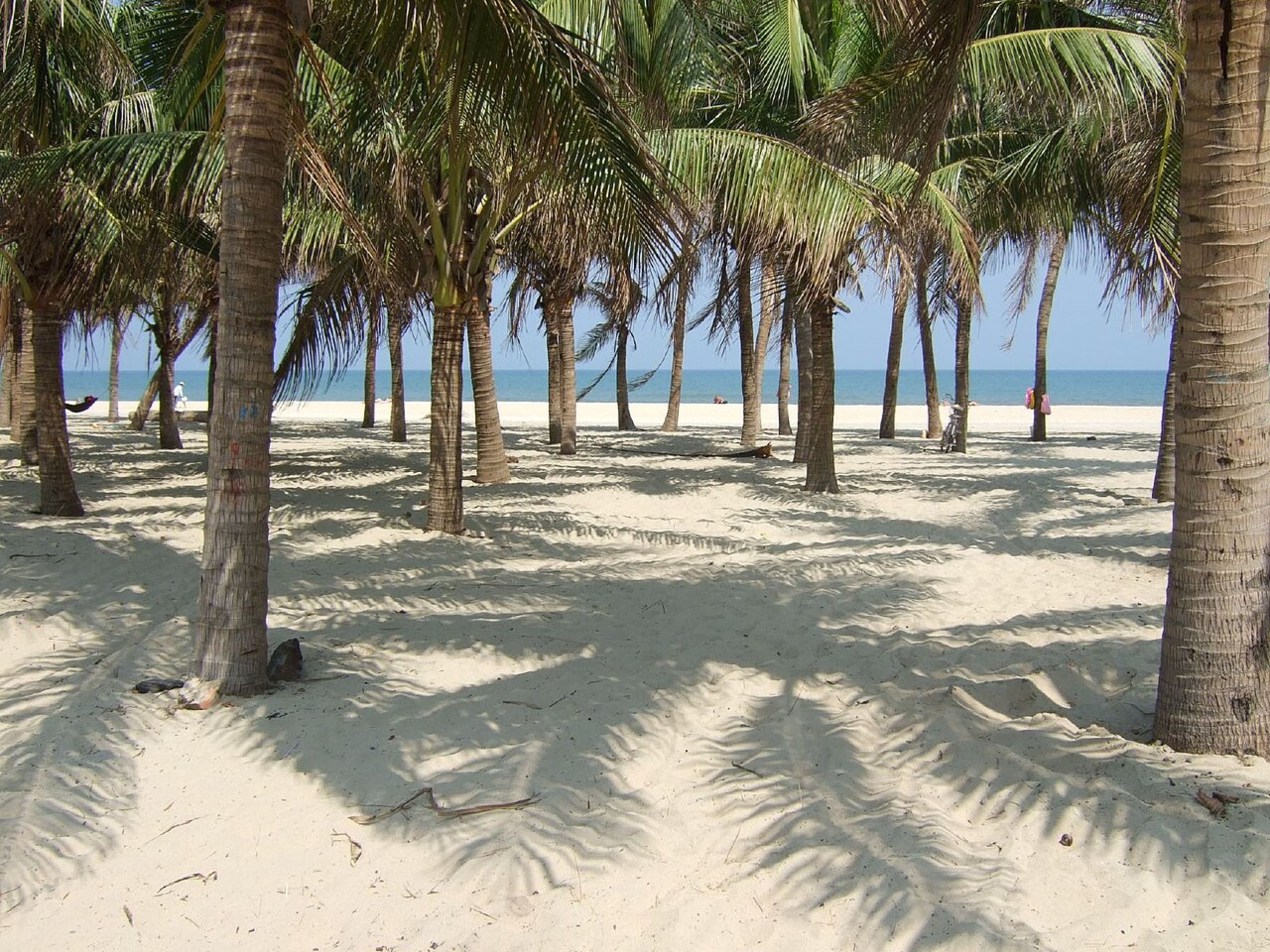 Cua Dai Beach