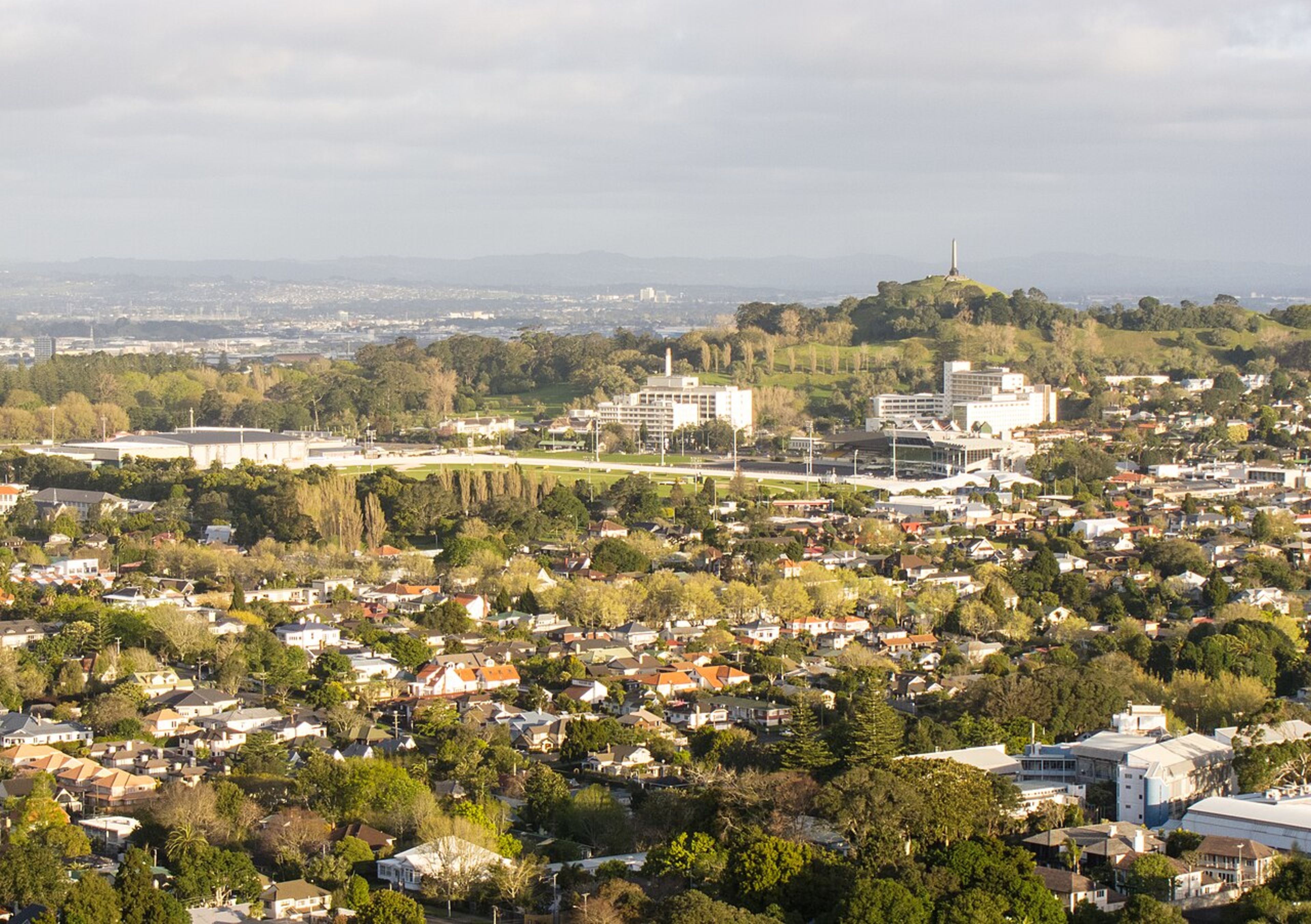 One Tree Hill (Maungawhau)