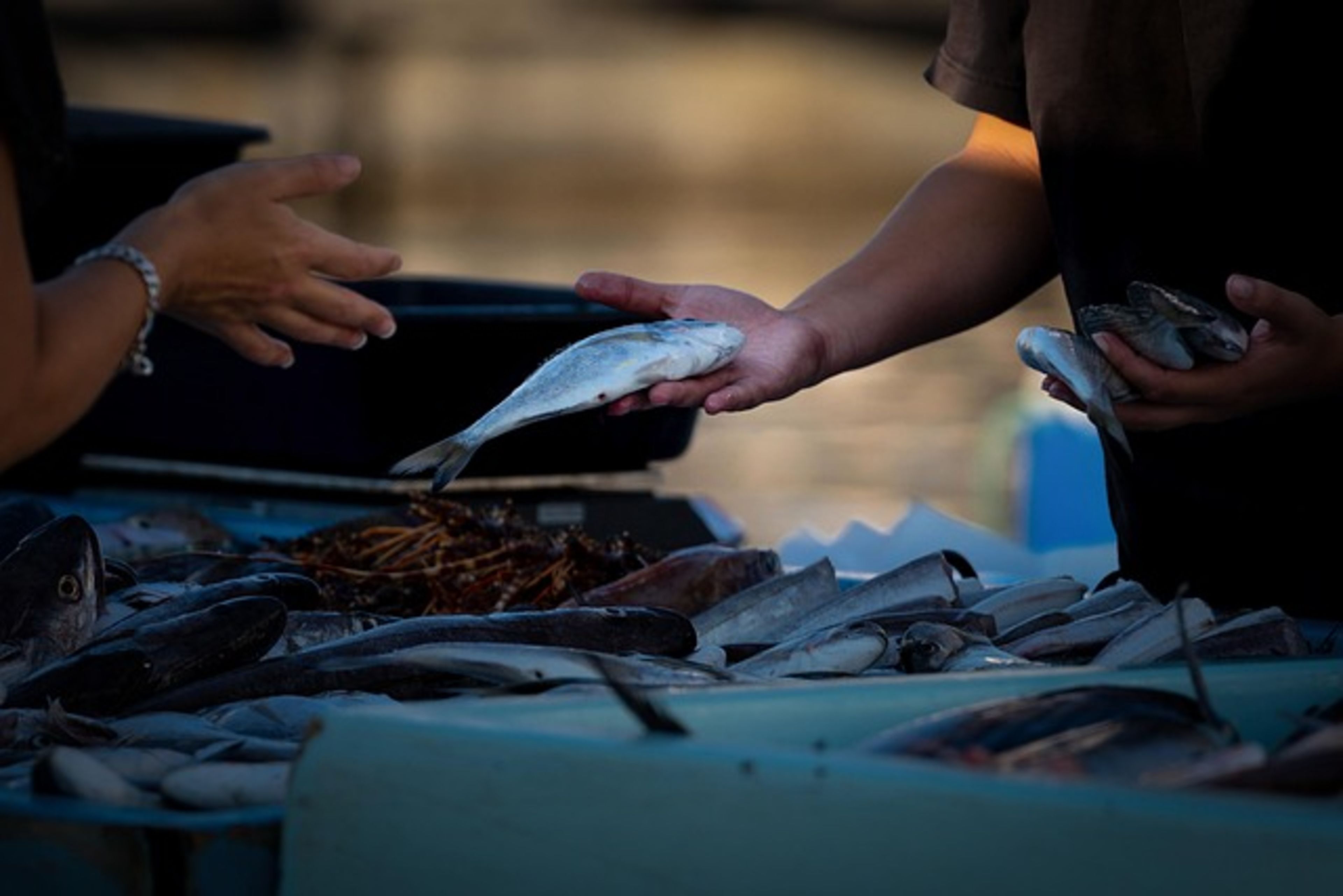 Noryangjin Fish Market