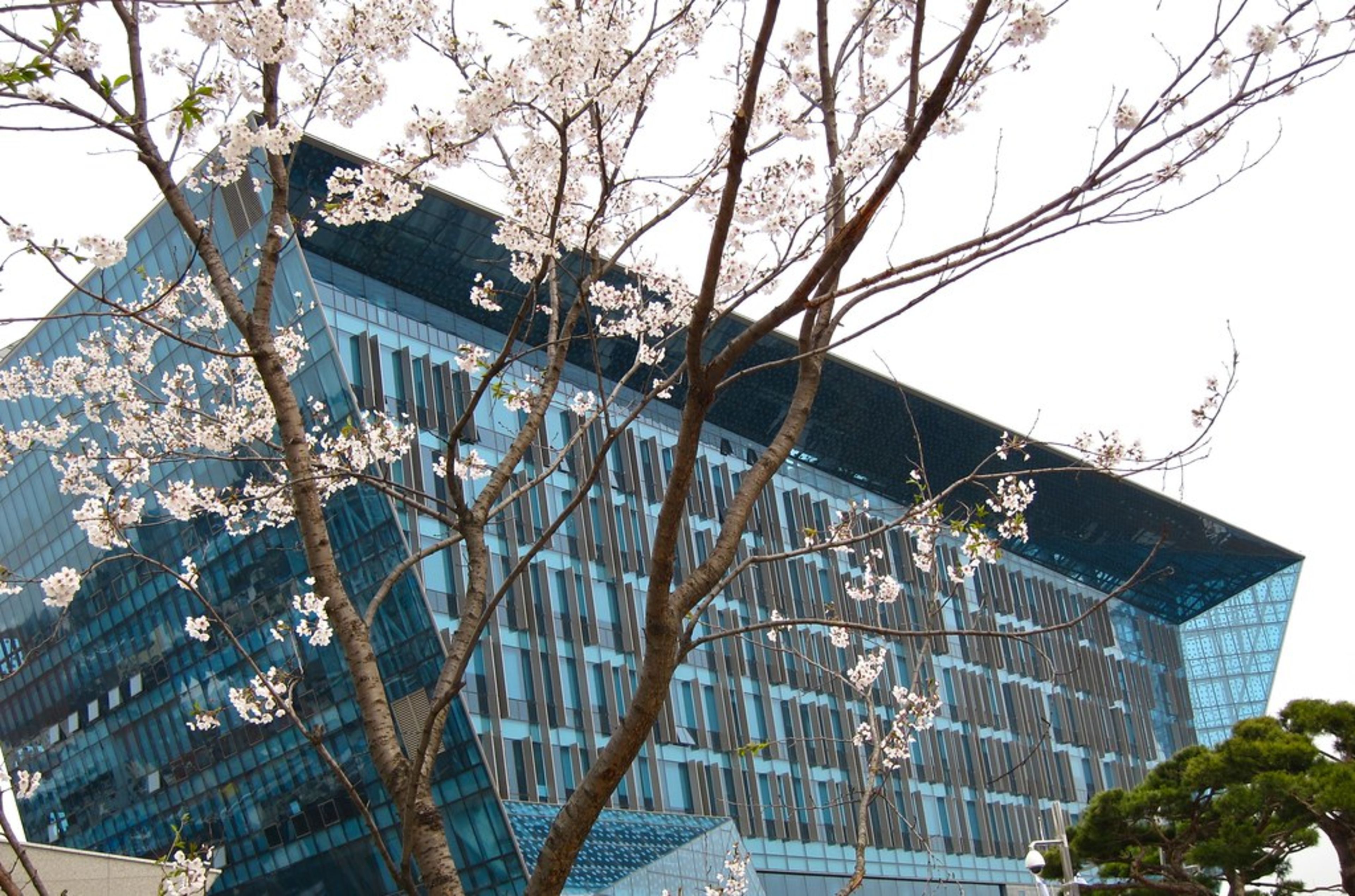 Itaewon District