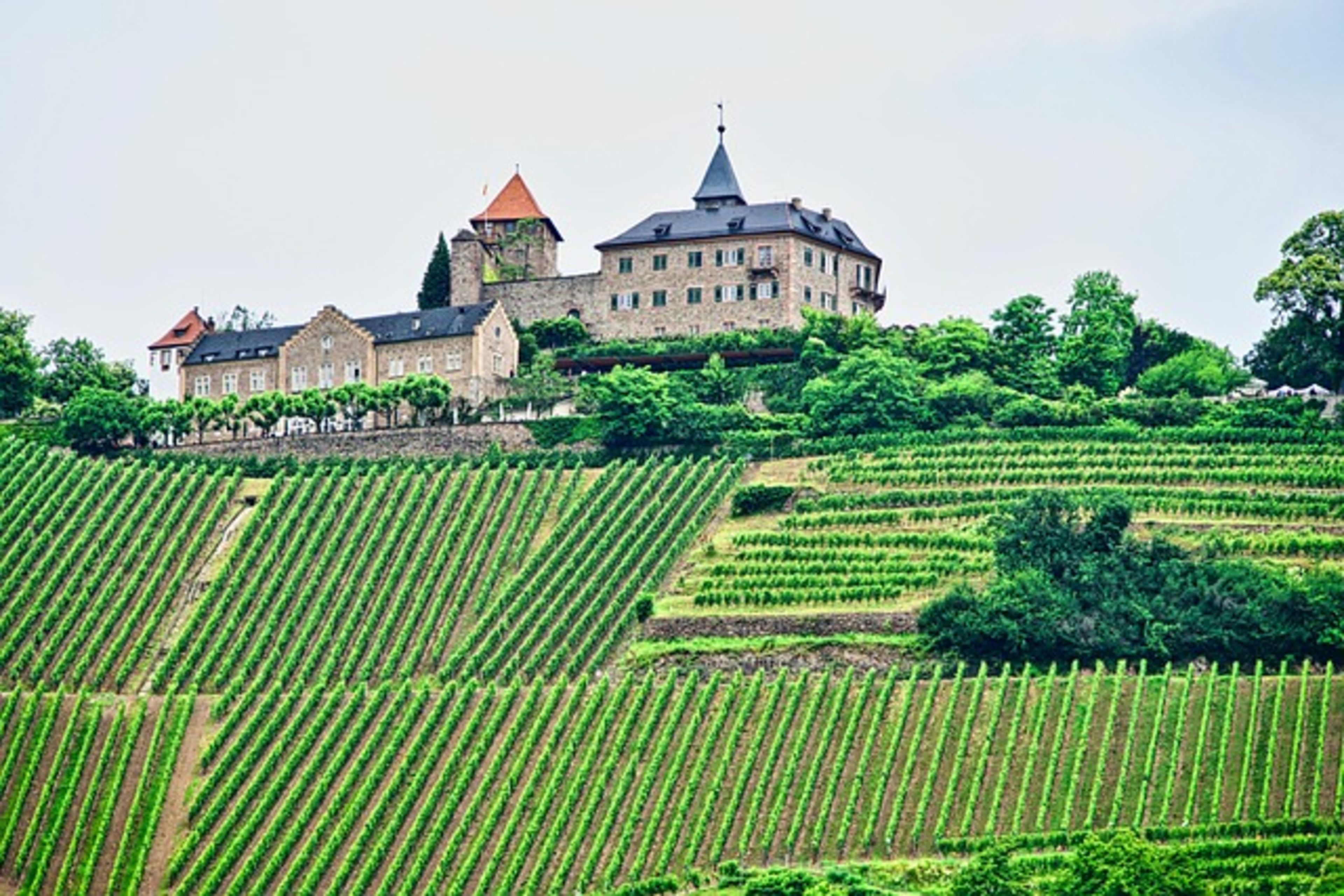 Loukakis Estate Winery