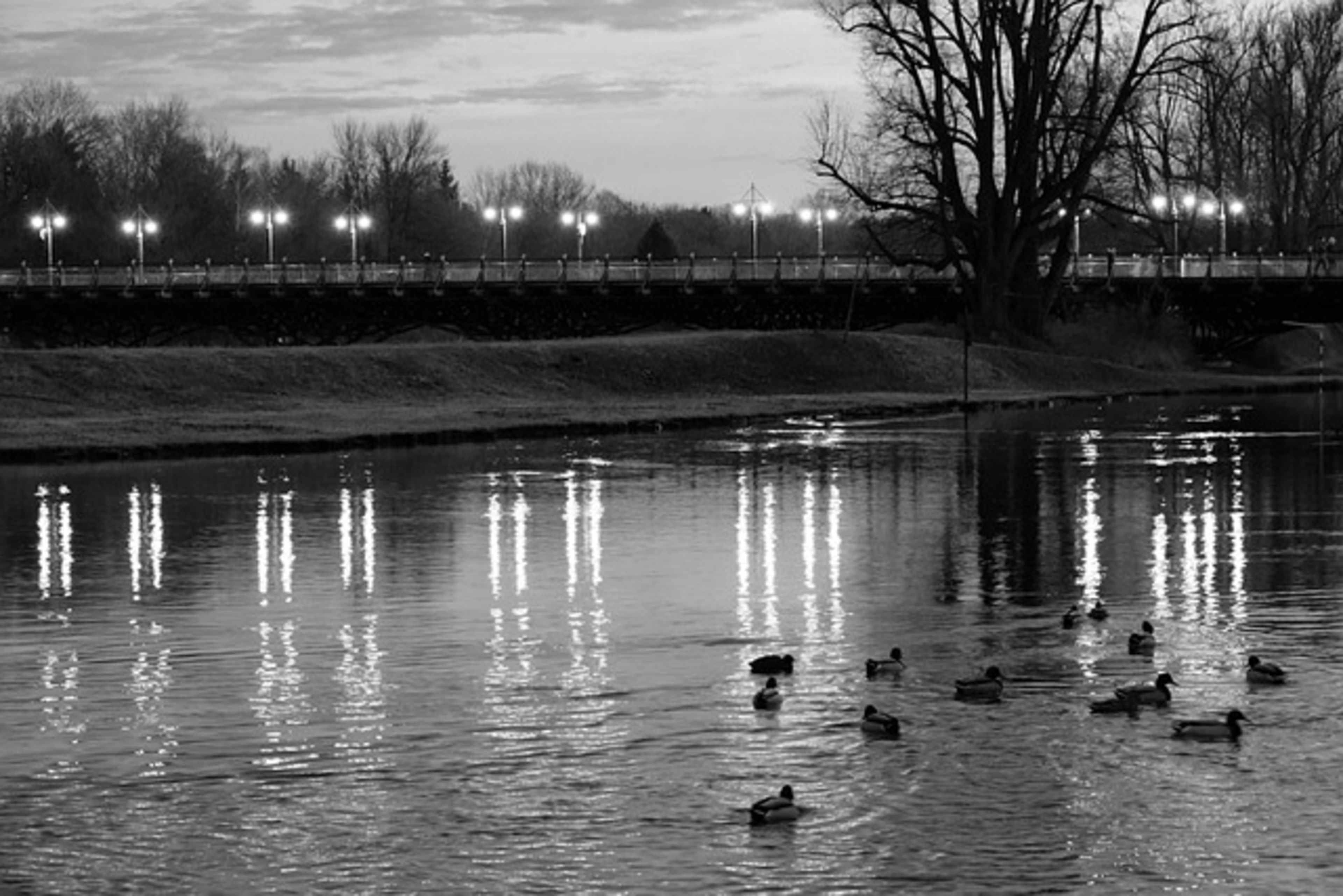 Isar River