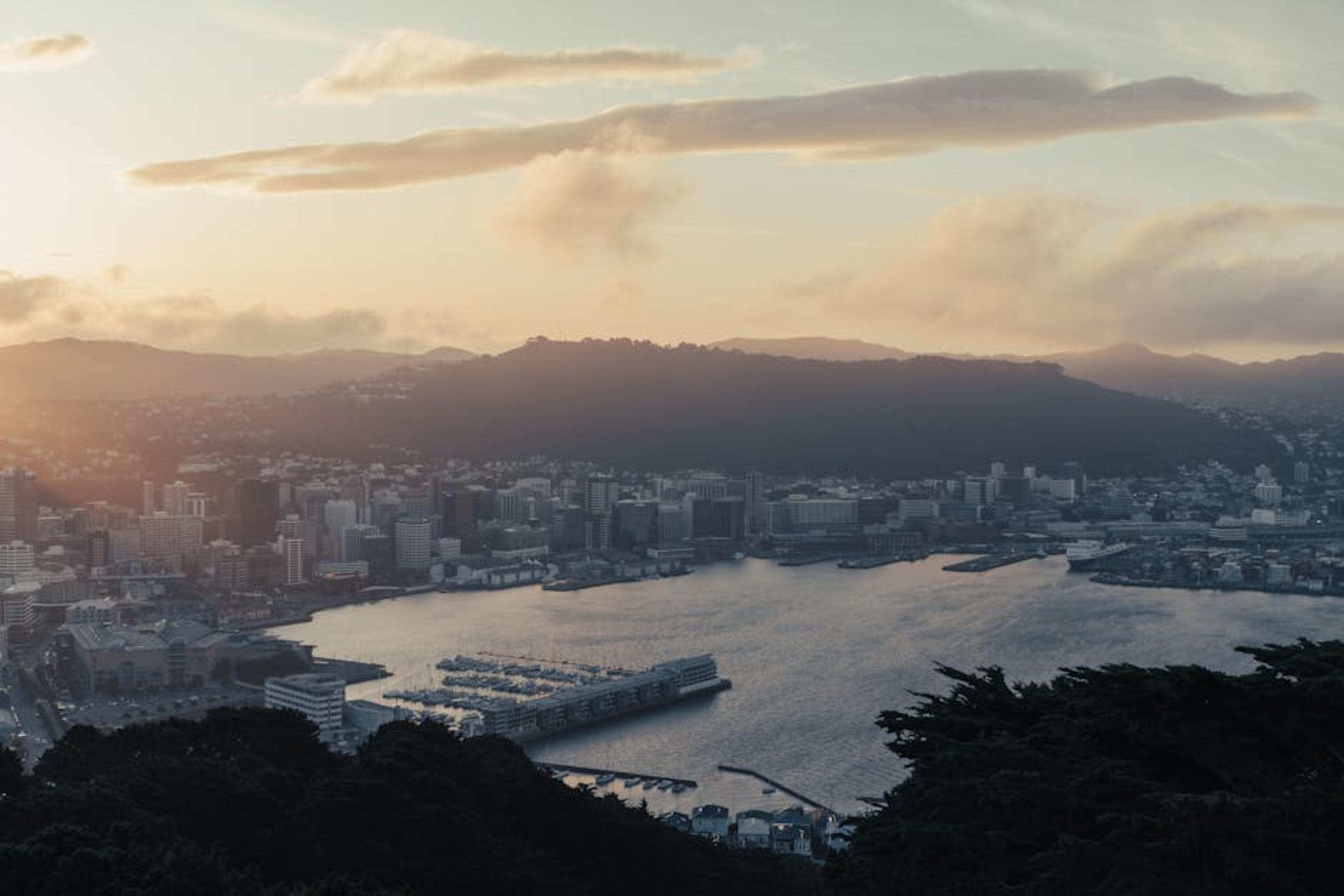 Wellington Botanic Garden (Cable Car)