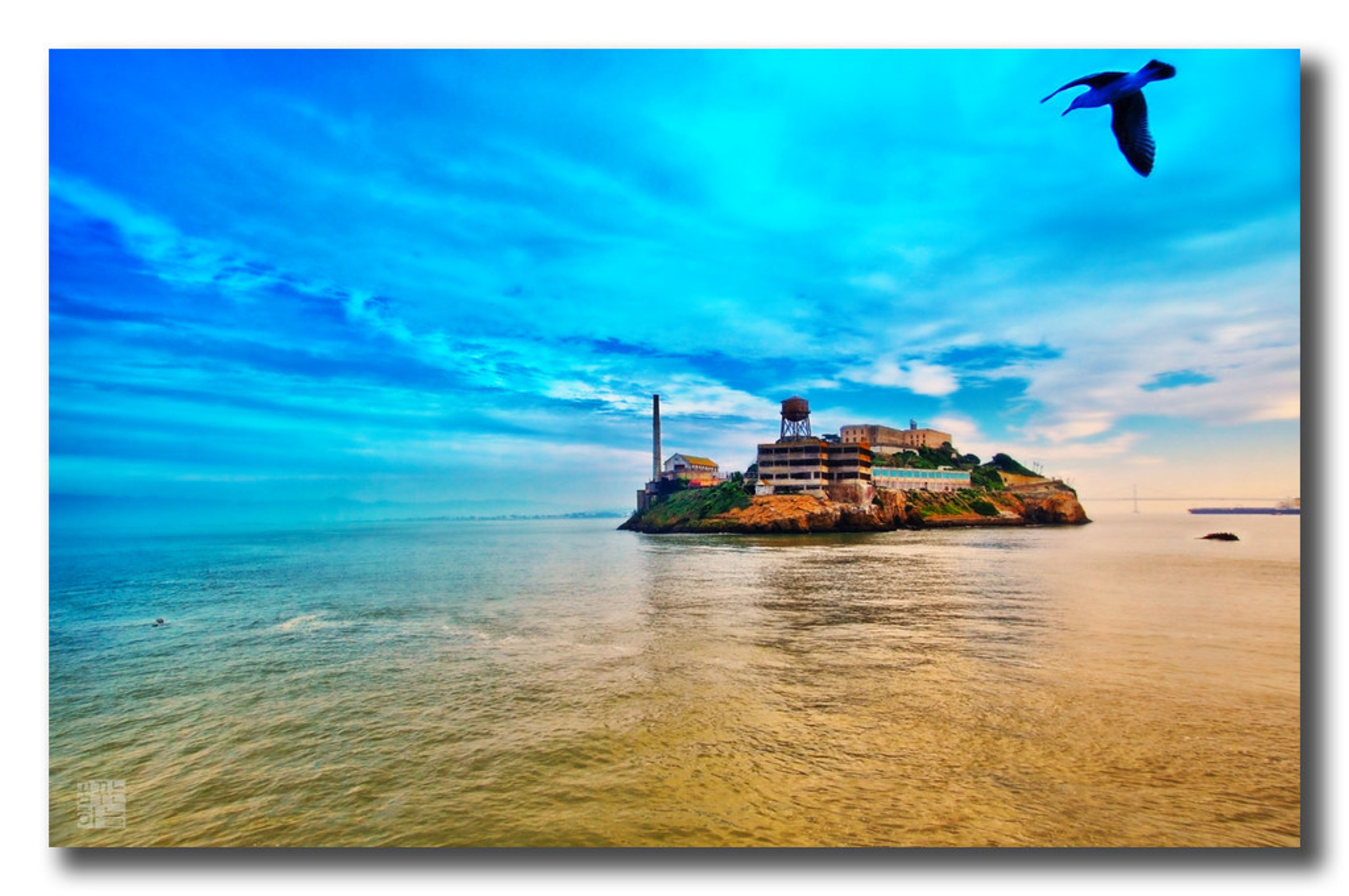 Alcatraz Island