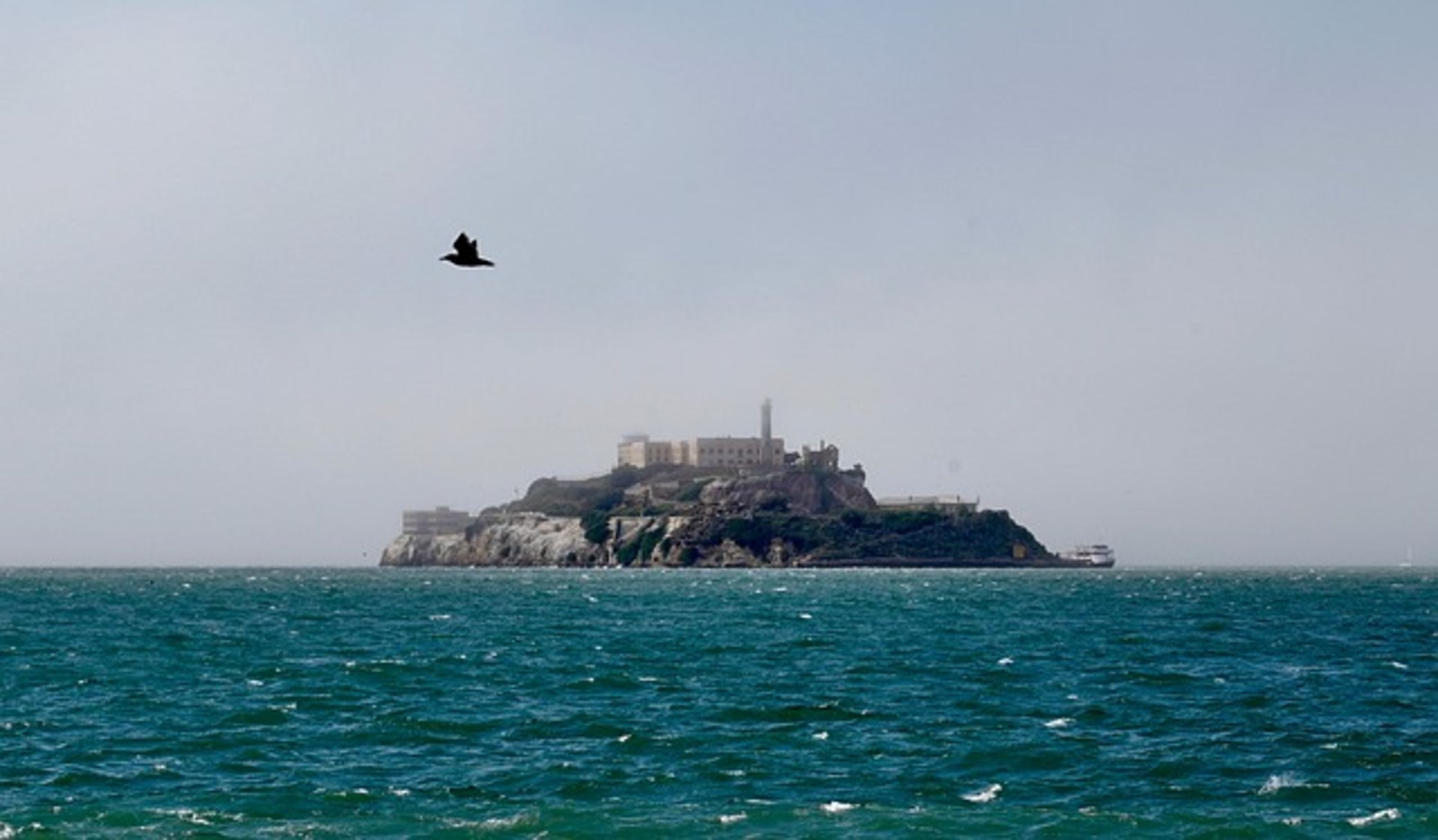 Alcatraz Island
