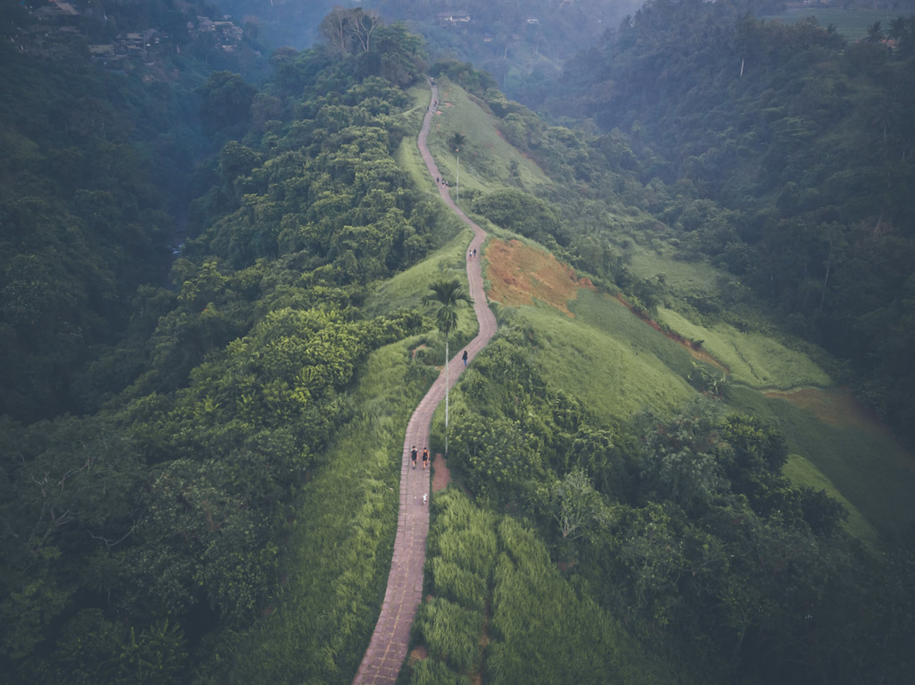 Campuhan Ridge Walk