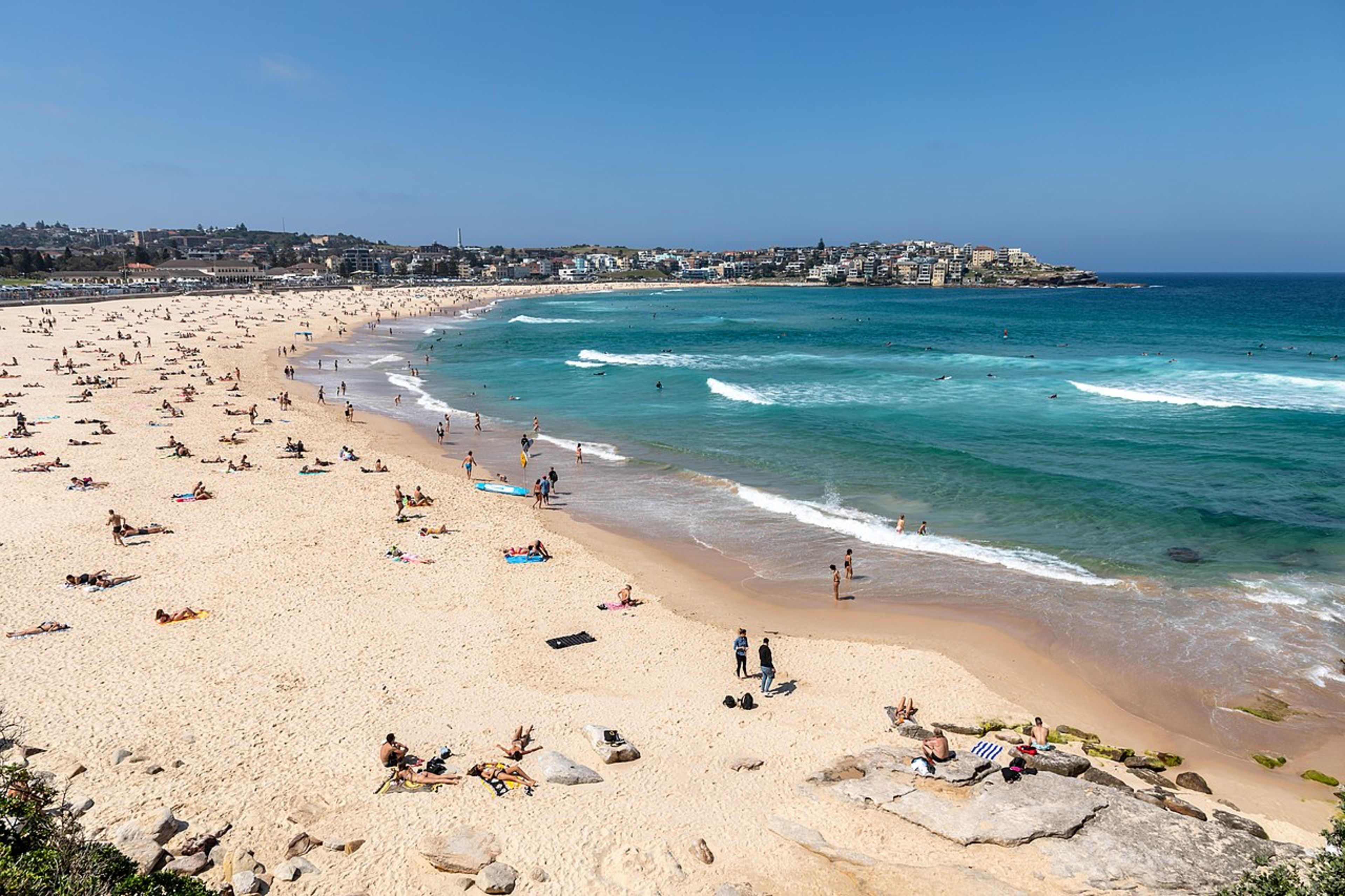 Bondi Beach