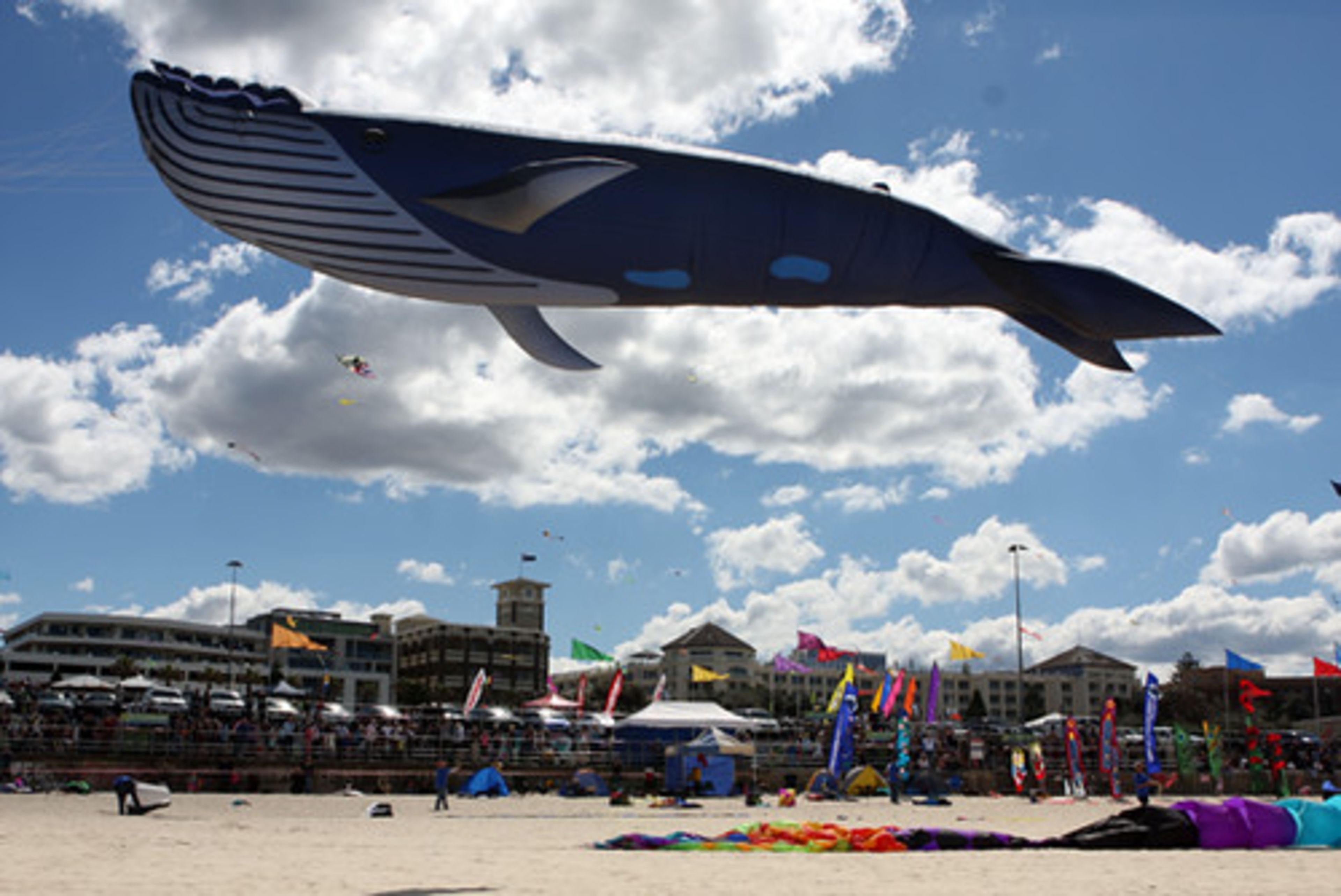 Bondi Beach
