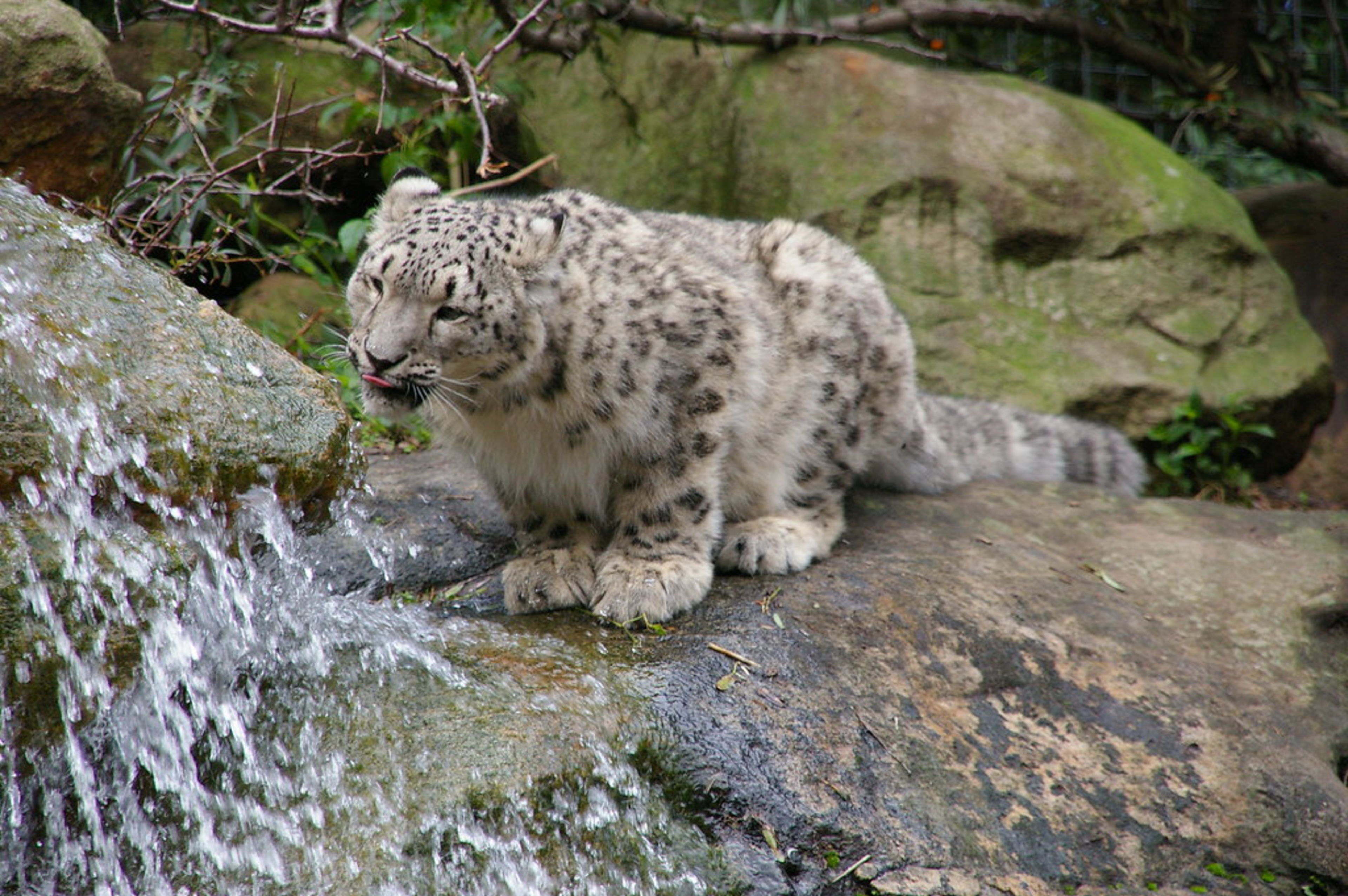 Taronga Zoo