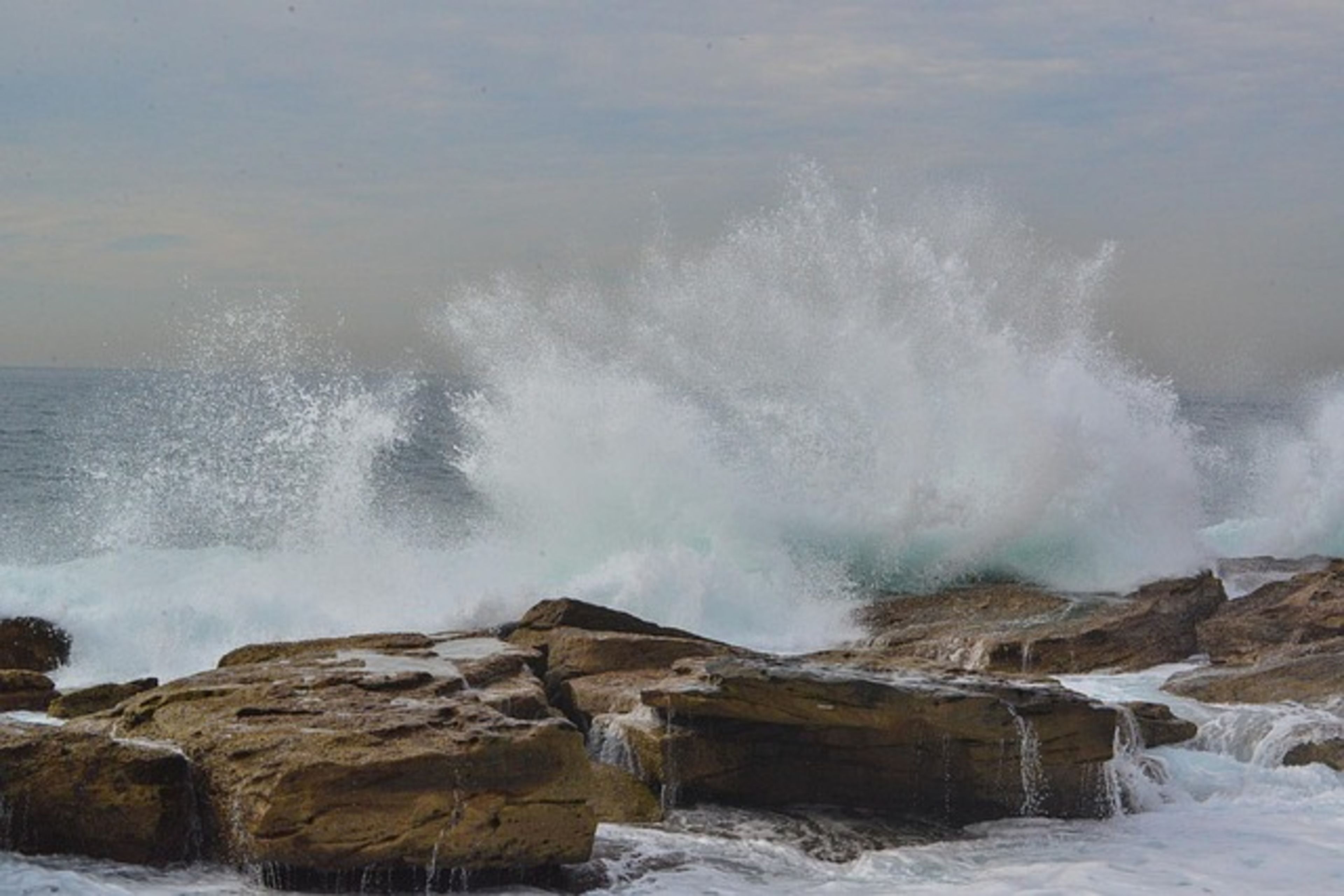 Coogee Beach