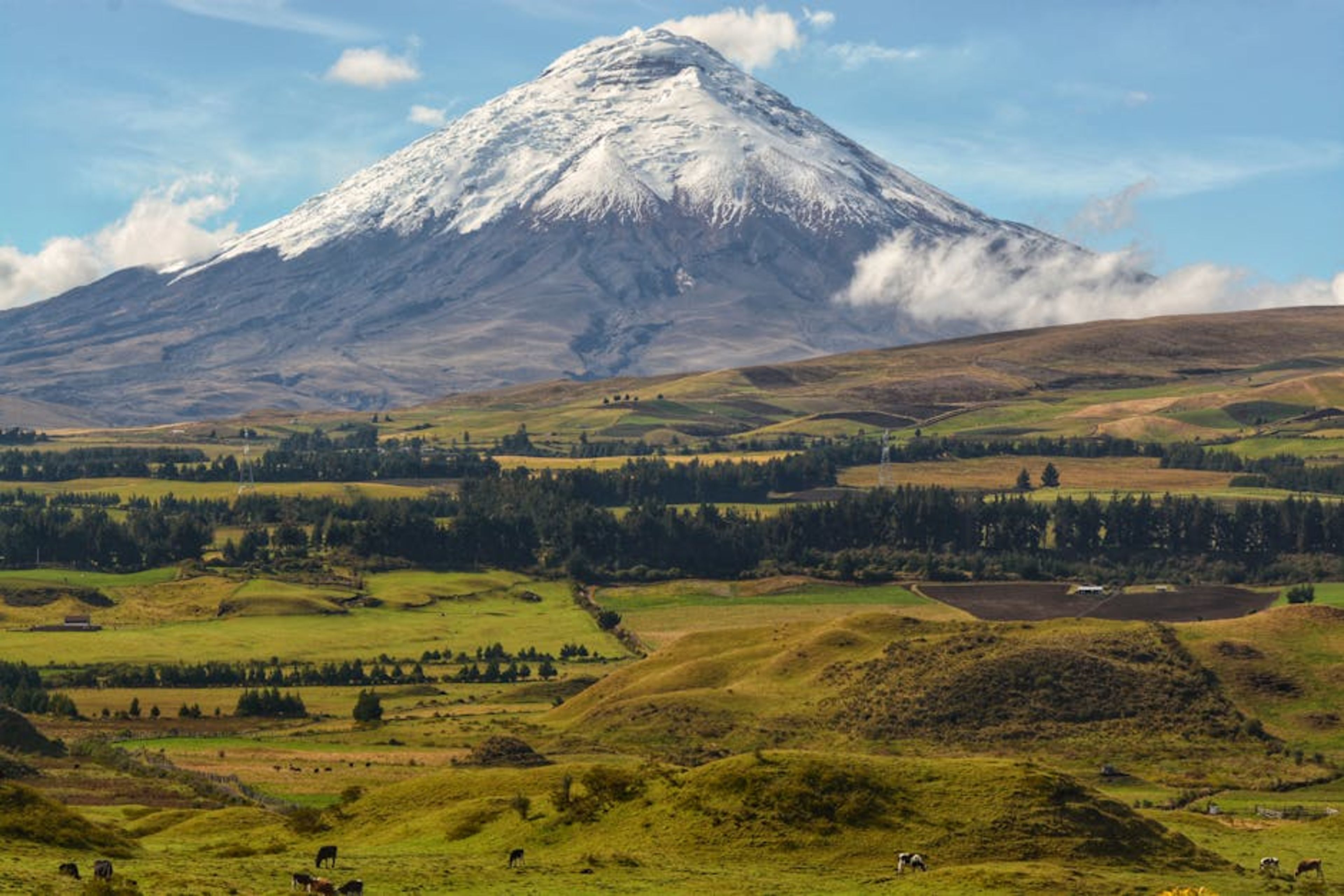 Cotopaxi Volcano (day trip)