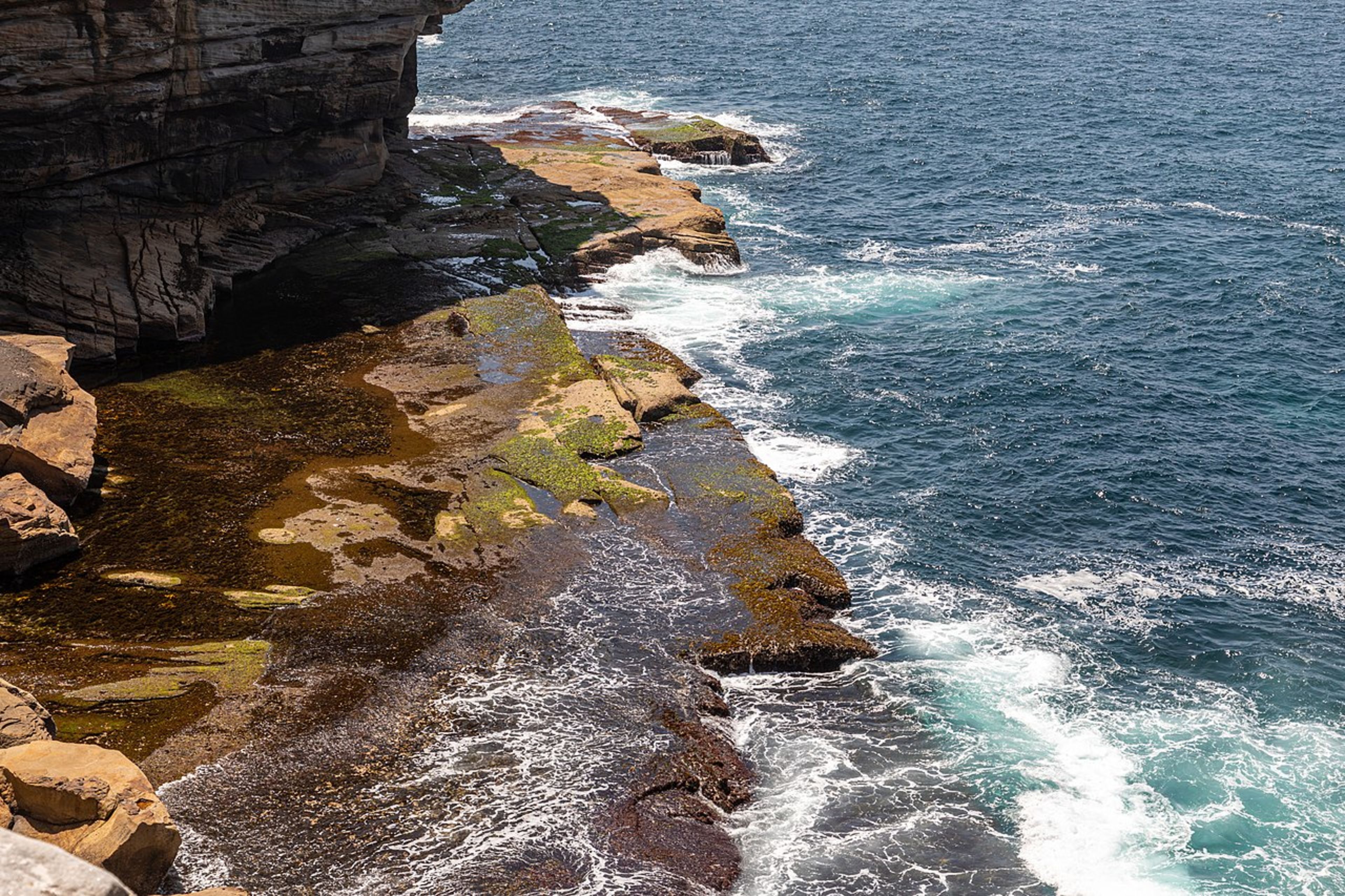 Watson's Bay Cliff Walk