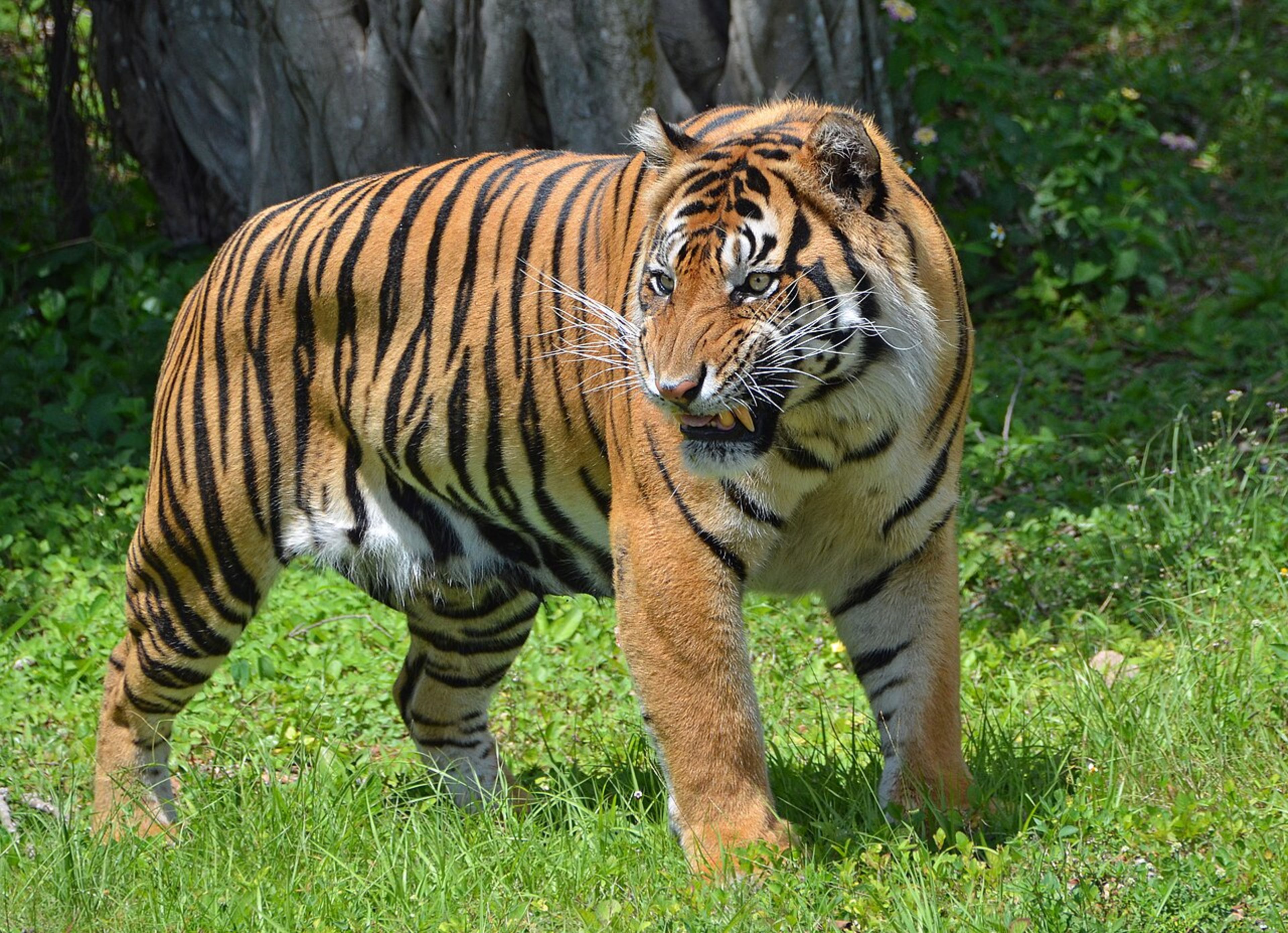 Zoo Miami