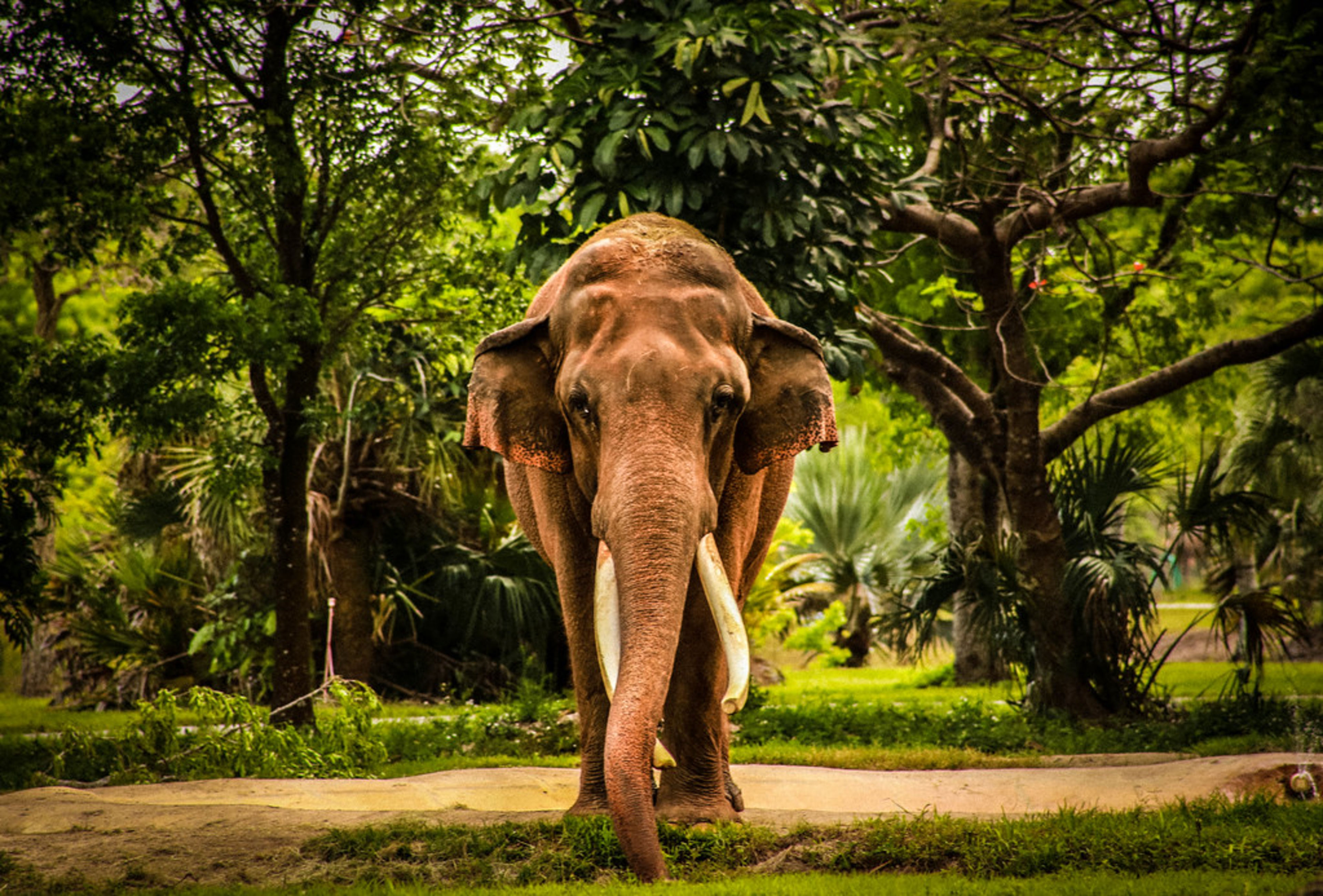 Zoo Miami