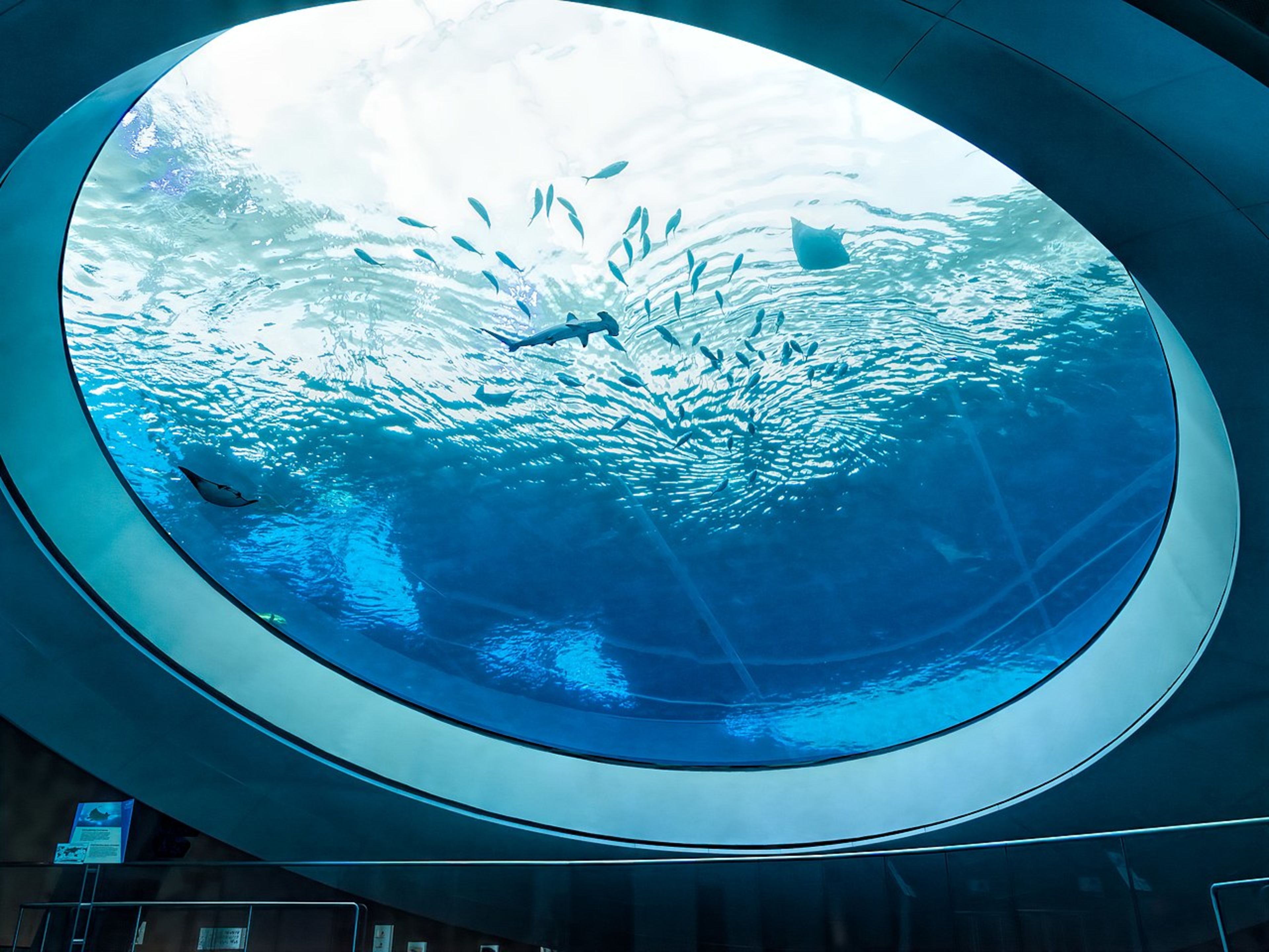 Frost Science Museum (Patricia and Phillip Frost)