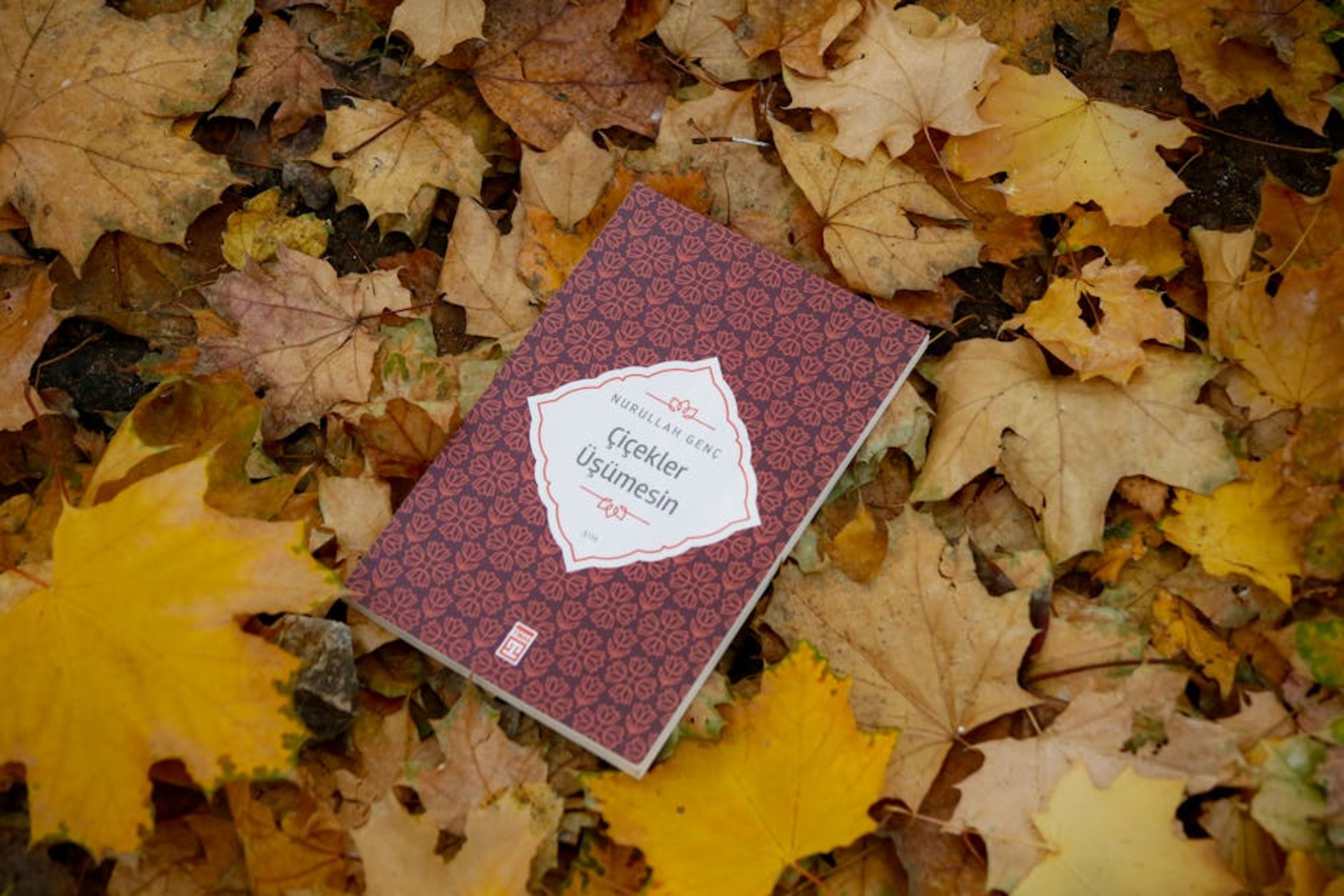 Laugavegur Shopping Street