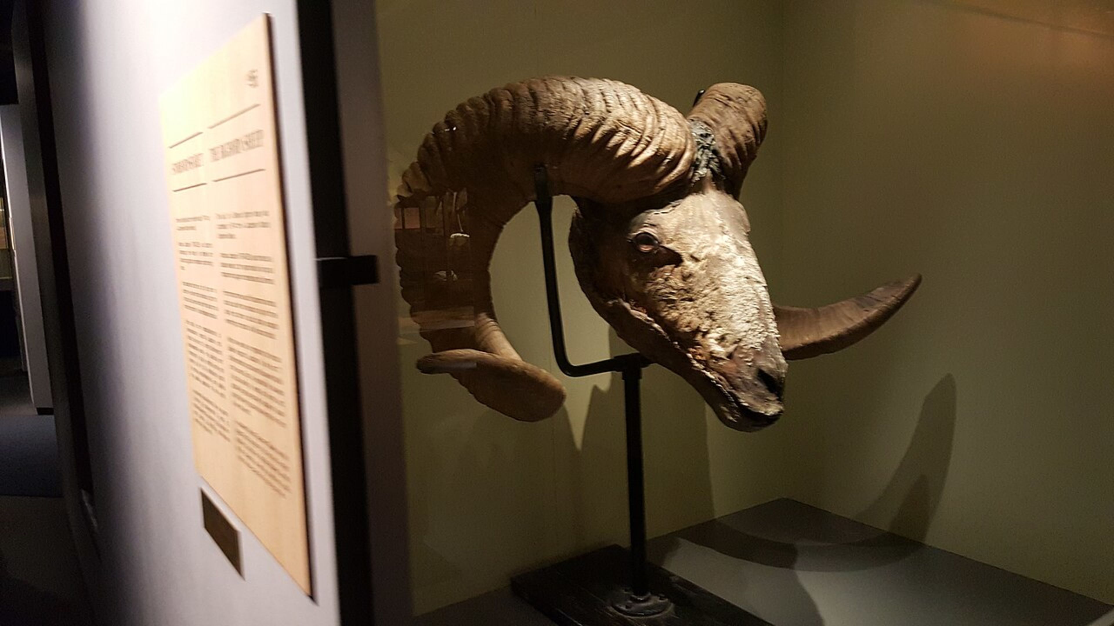 Natural History Museum