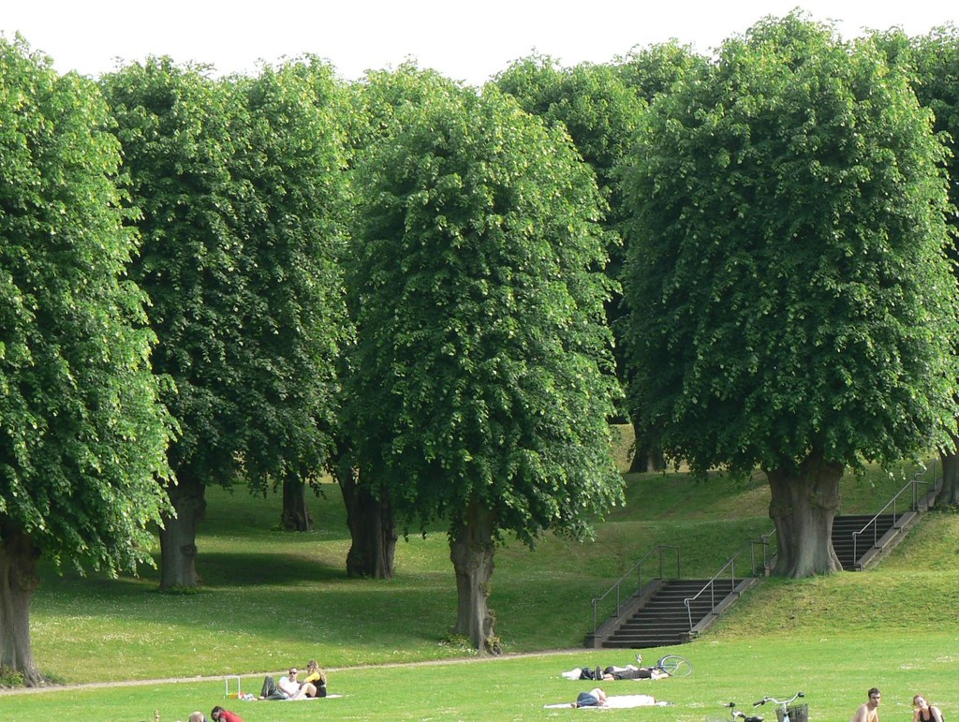 Frederiksberg Gardens