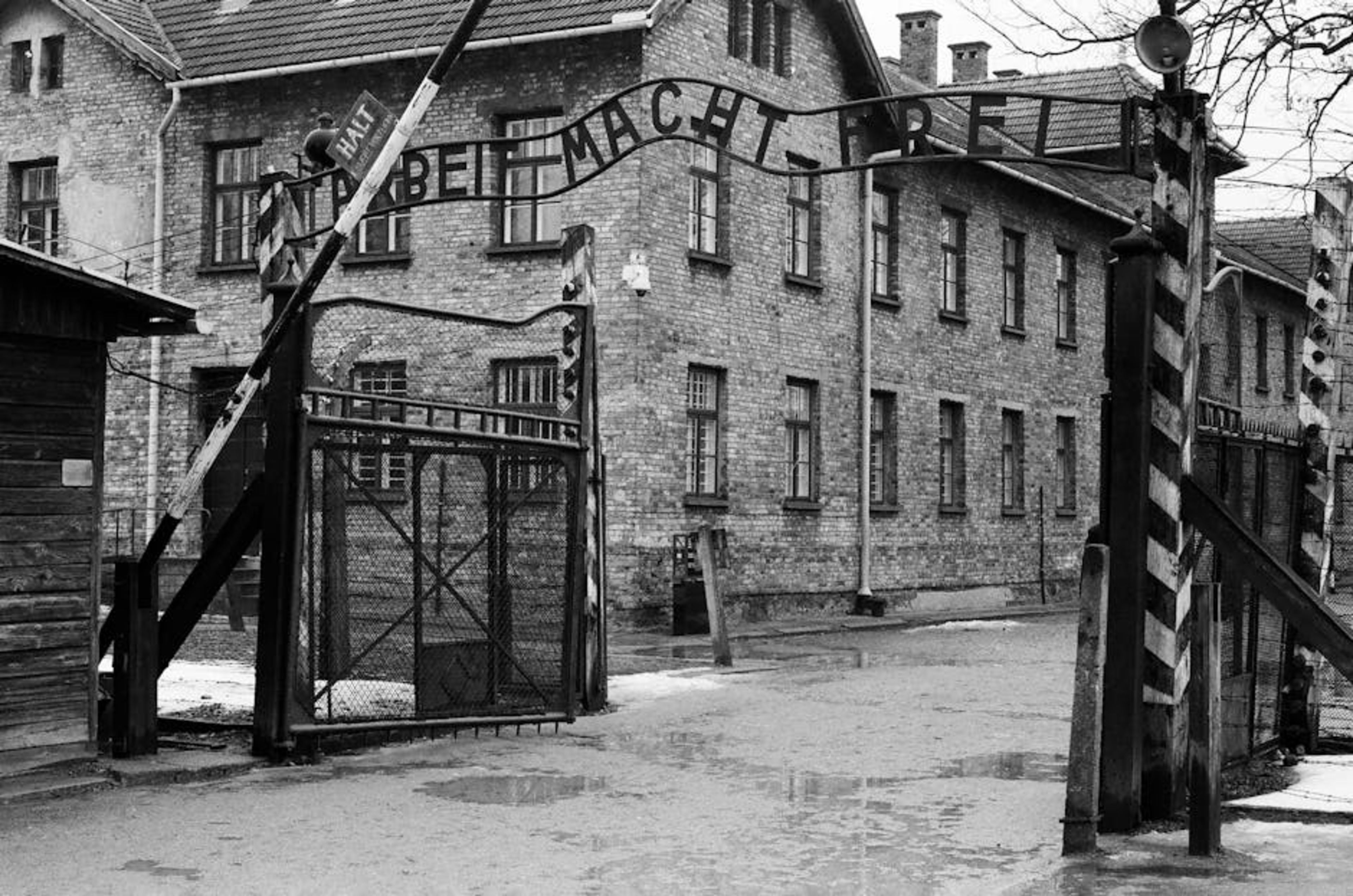 Holocaust Museum (USHMM)