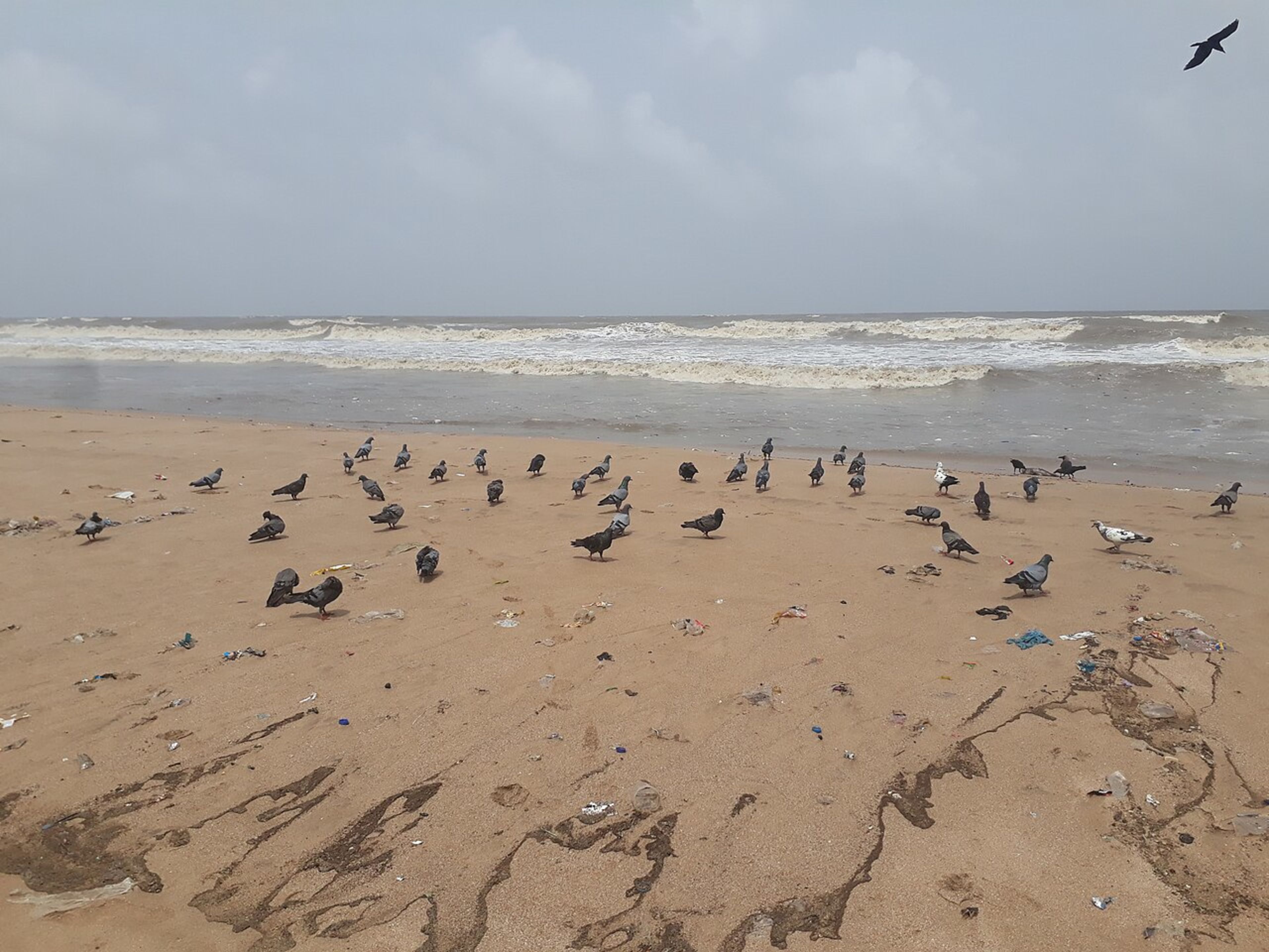 Juhu Beach
