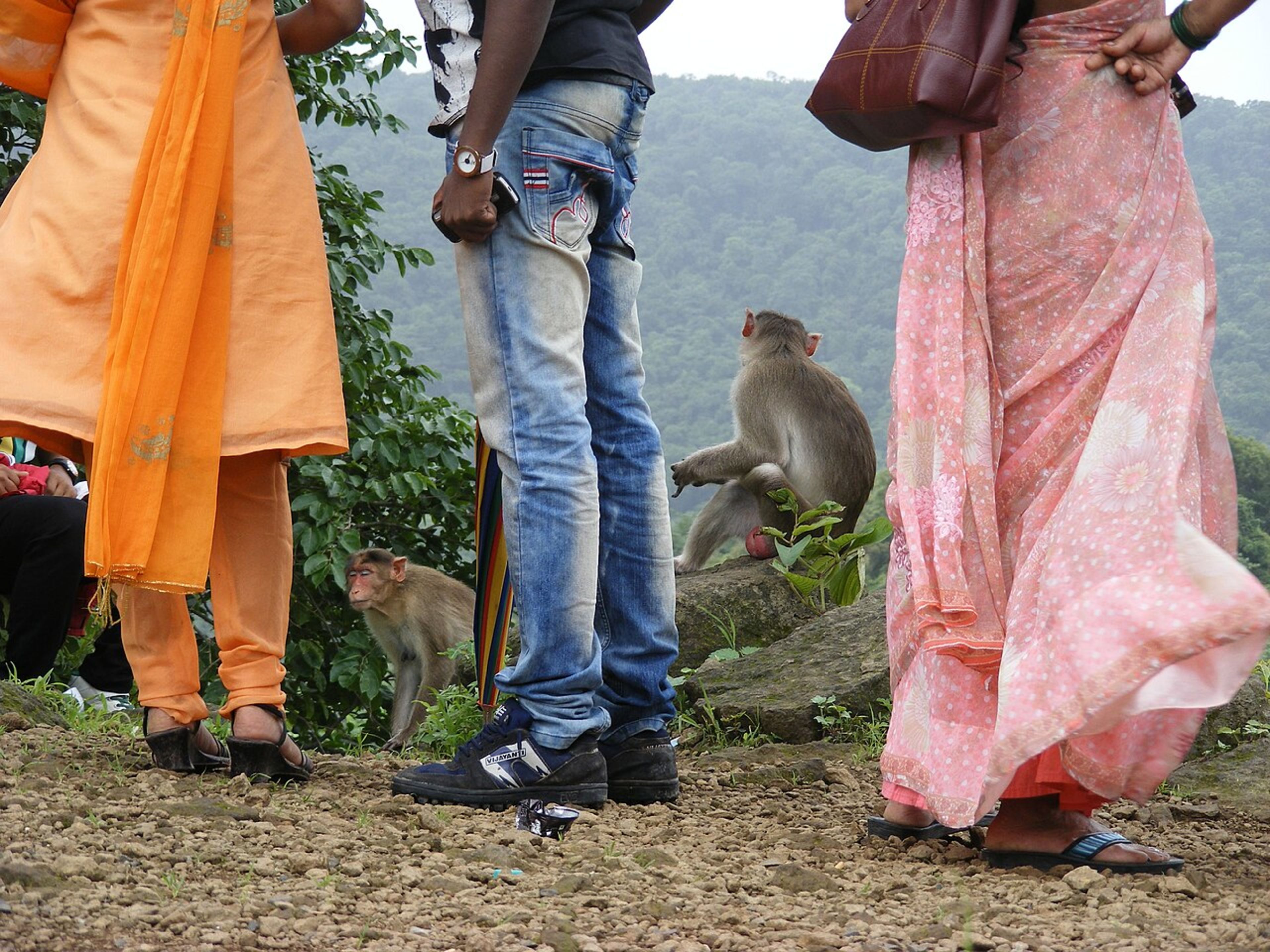 Kanheri Caves (SGNP)