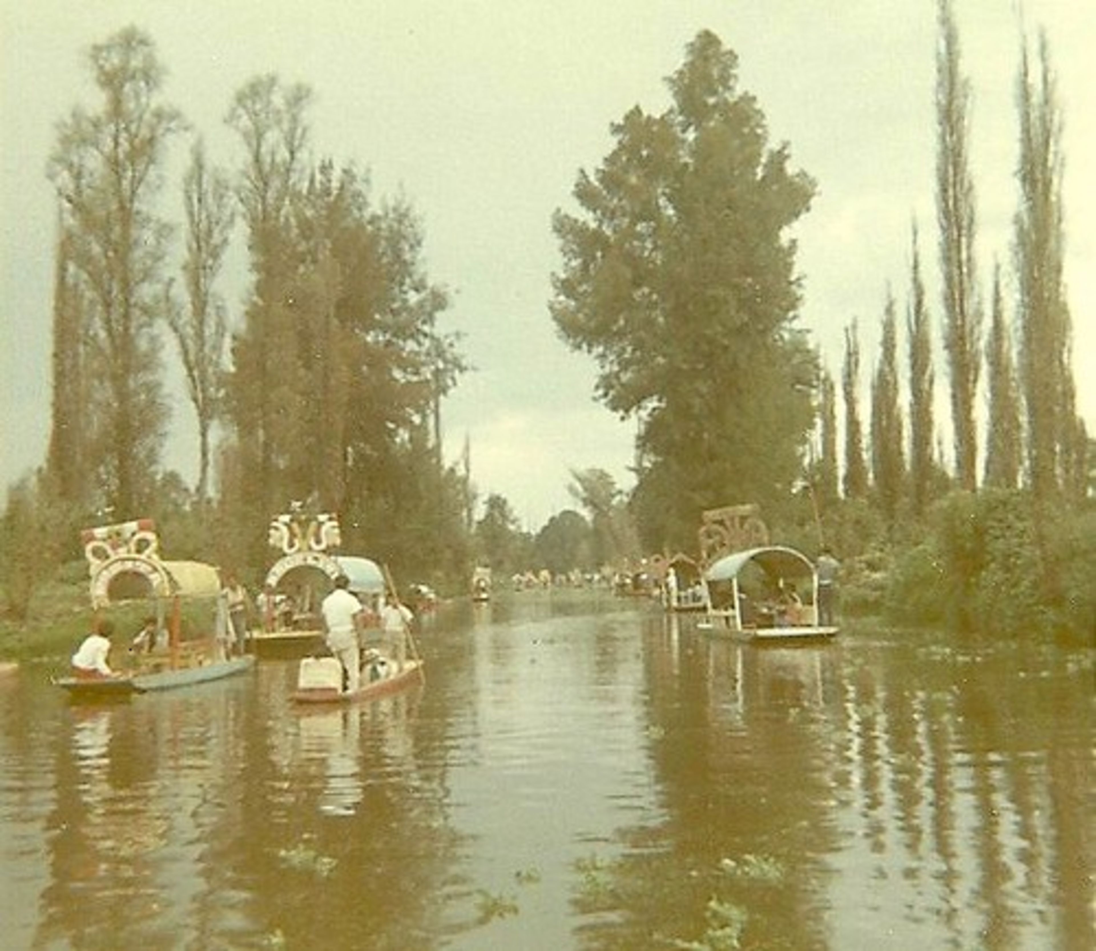 Xochimilco (Floating Gardens)