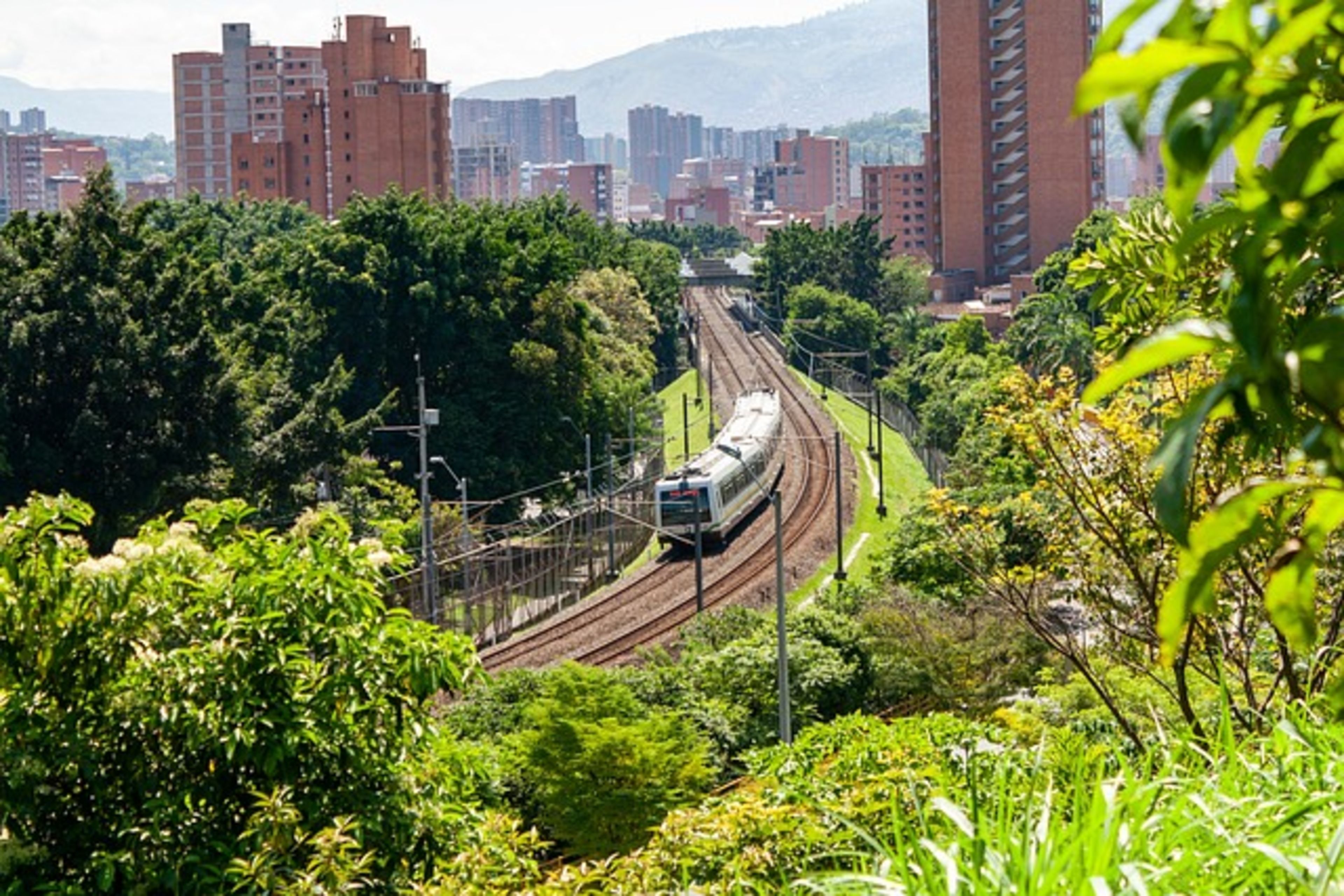 Mercado Medellín