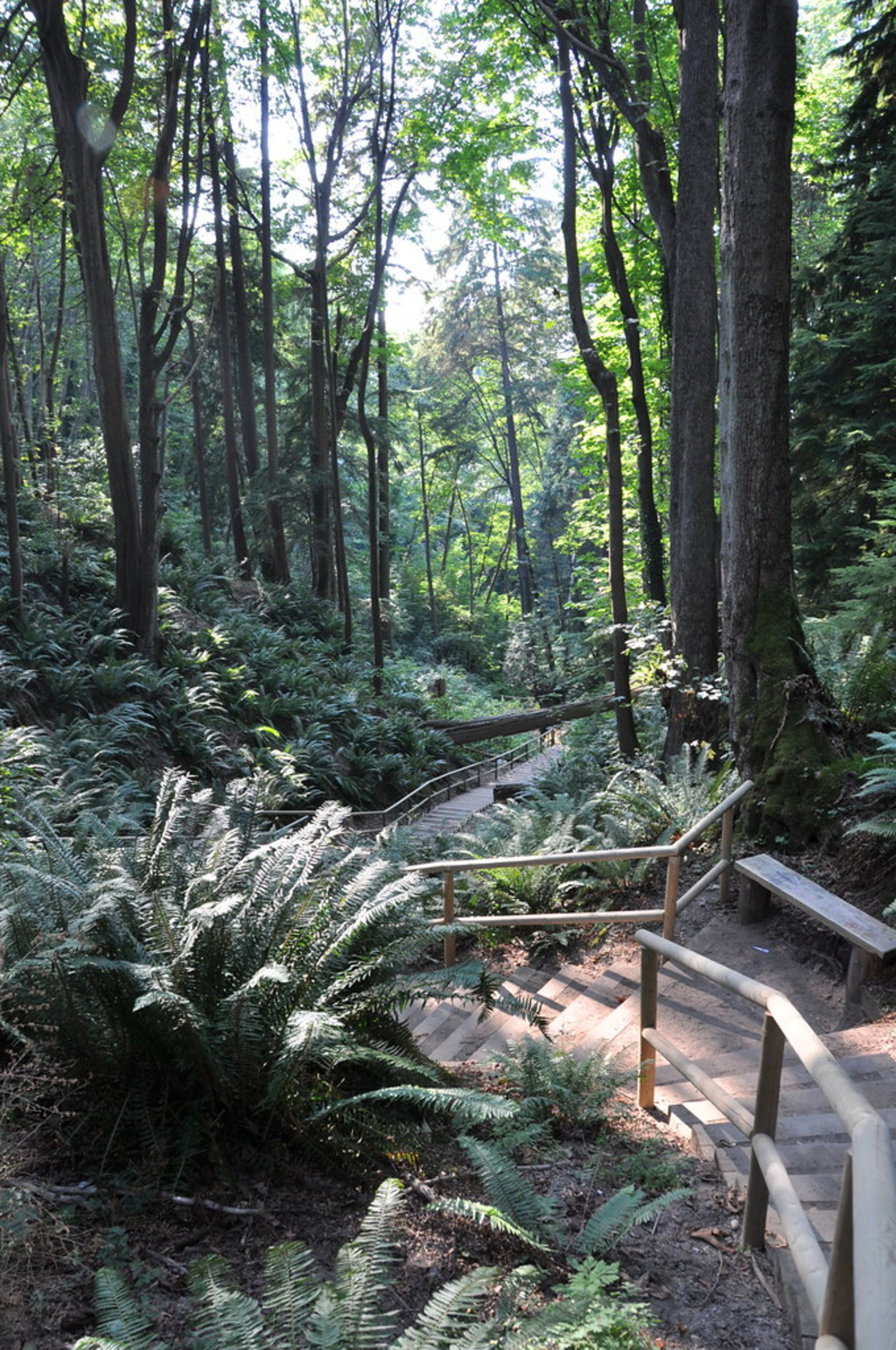 Pacific Spirit Regional Park