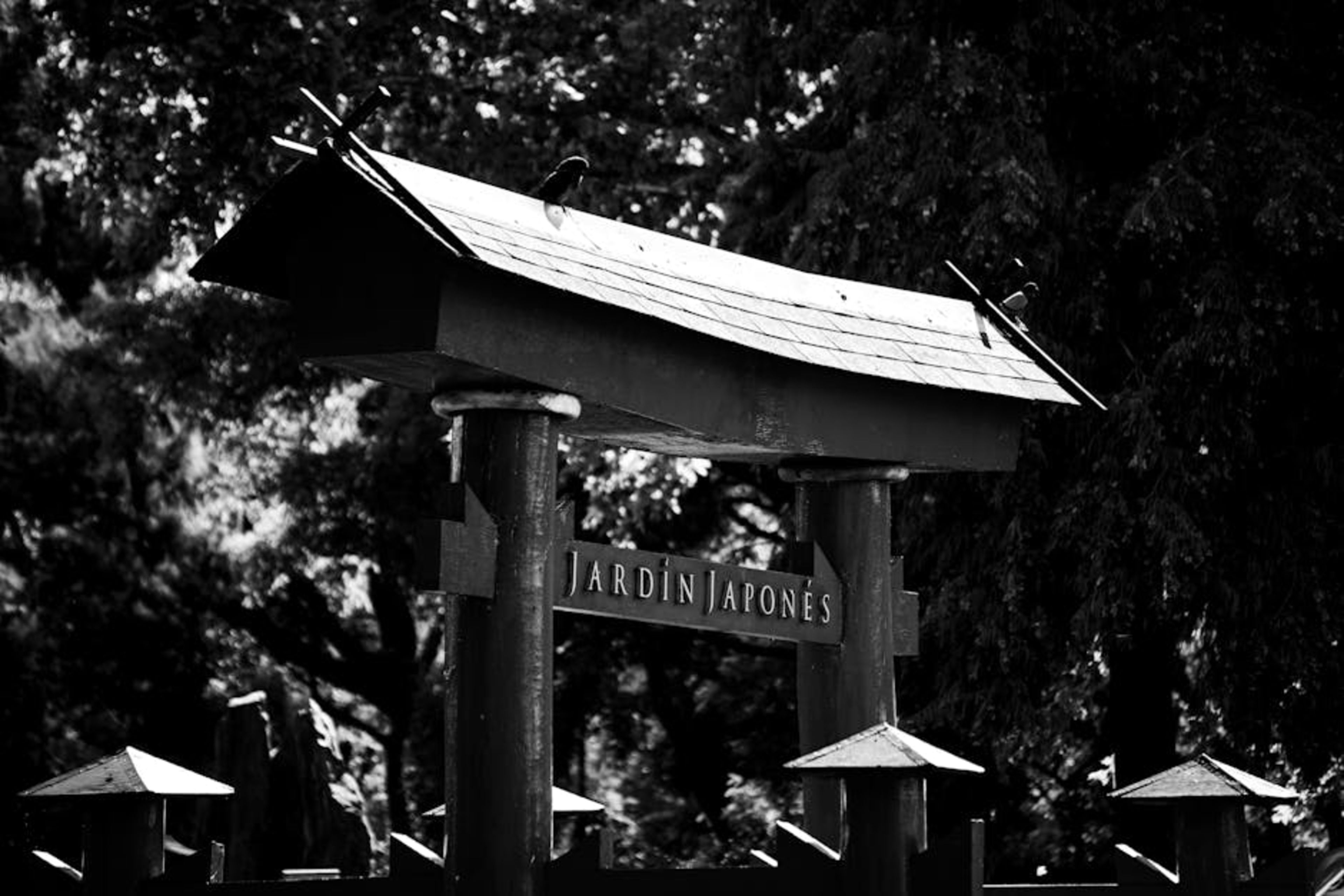 Reserva Ecológica Costanera Sur
