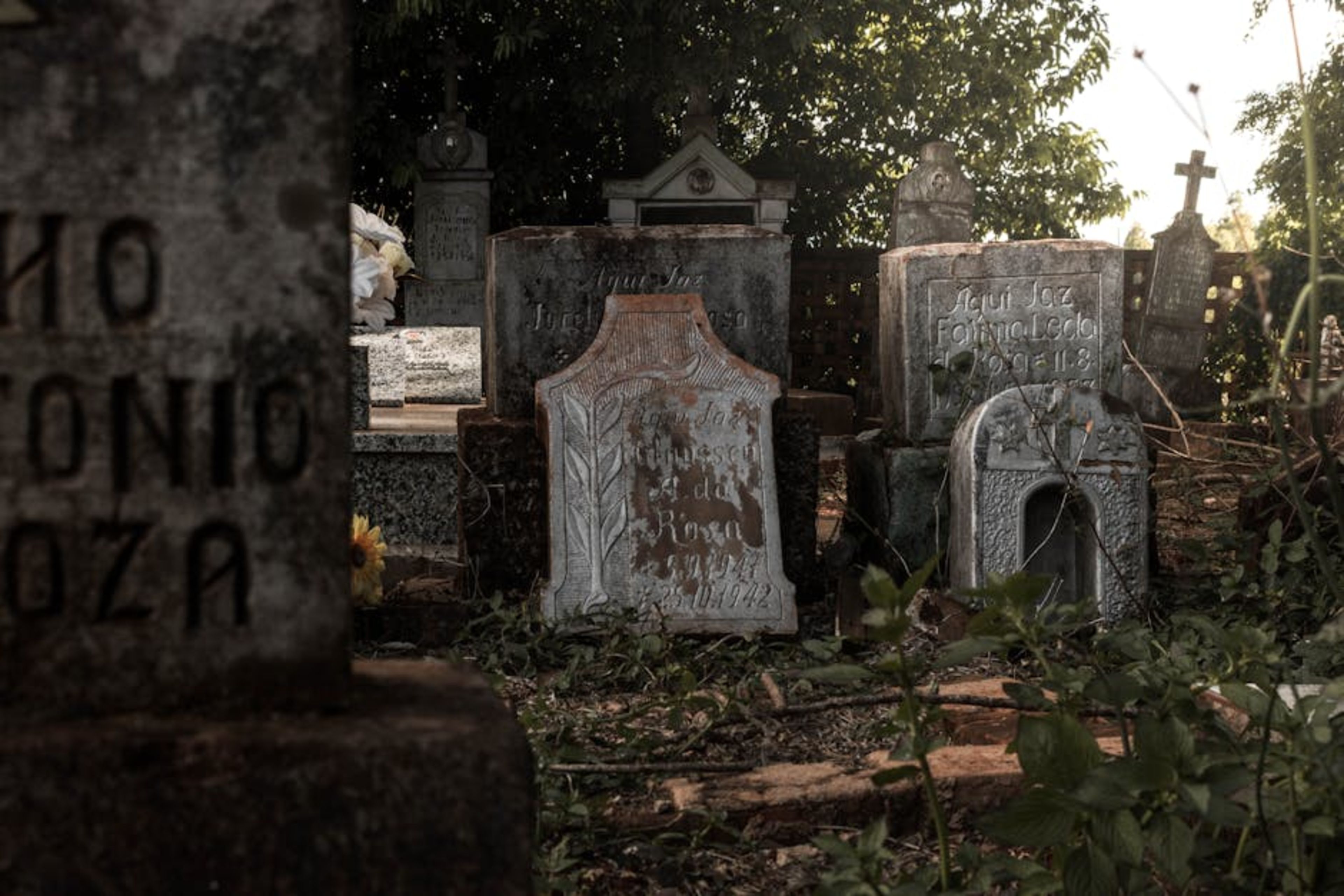 Protestant Cemetery (Cimitero Acattolico)