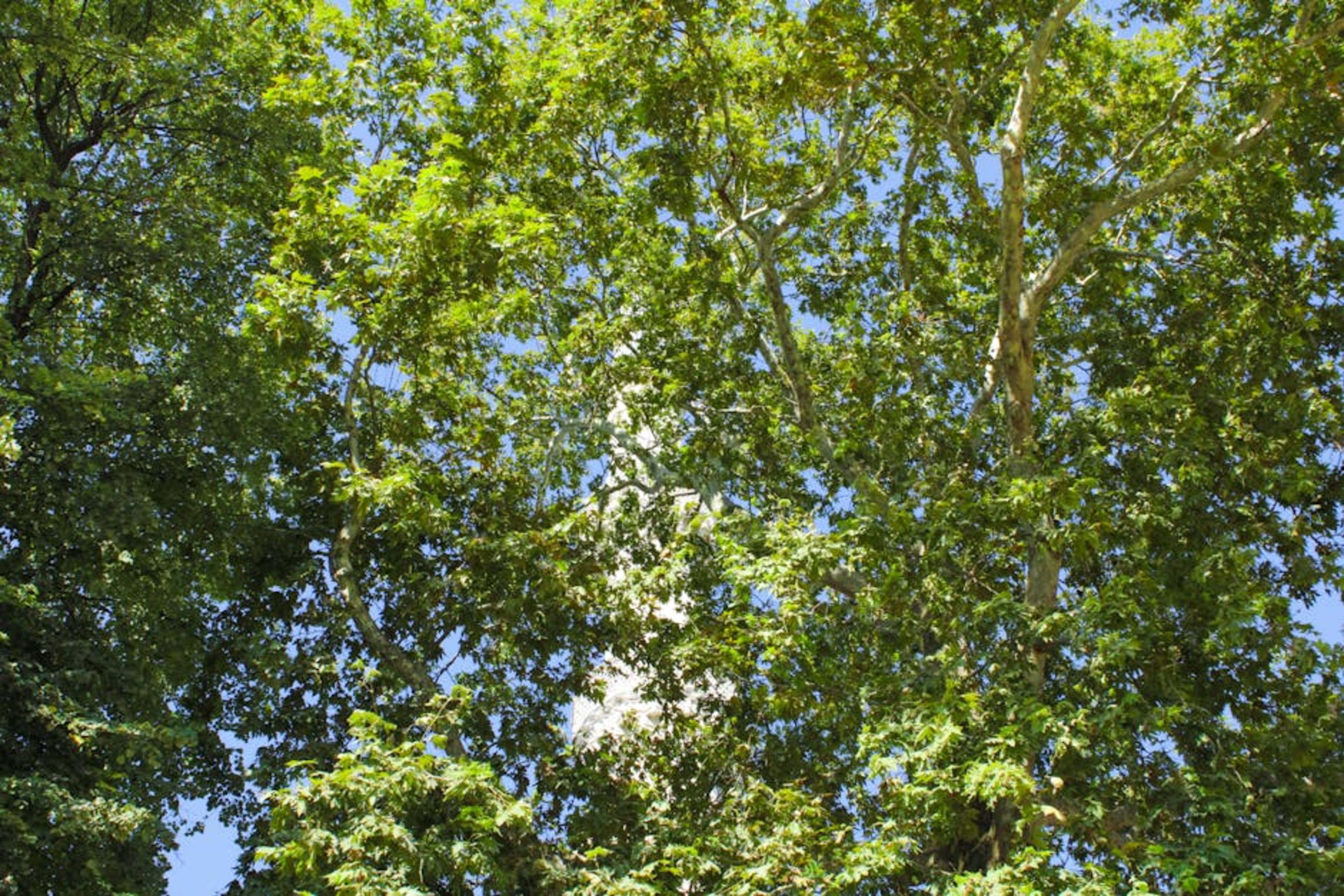 Champ de Mars