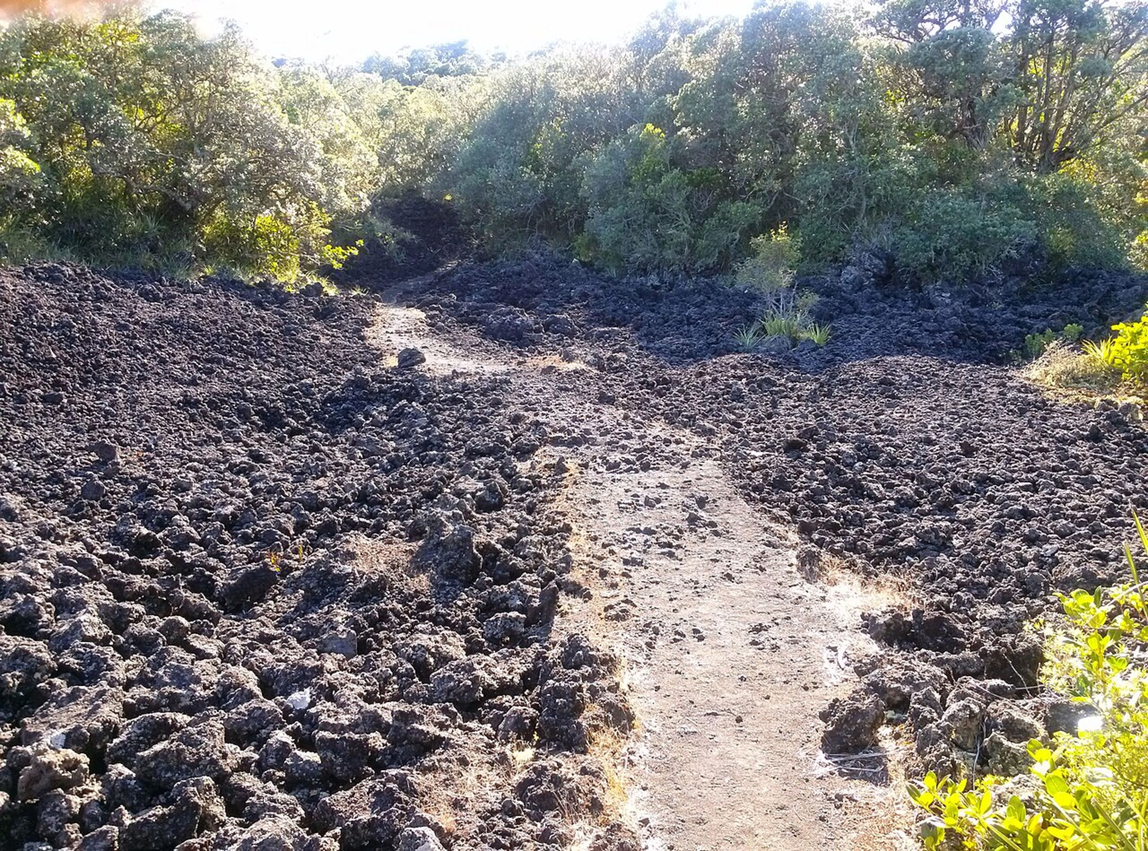 Rangitoto Island
