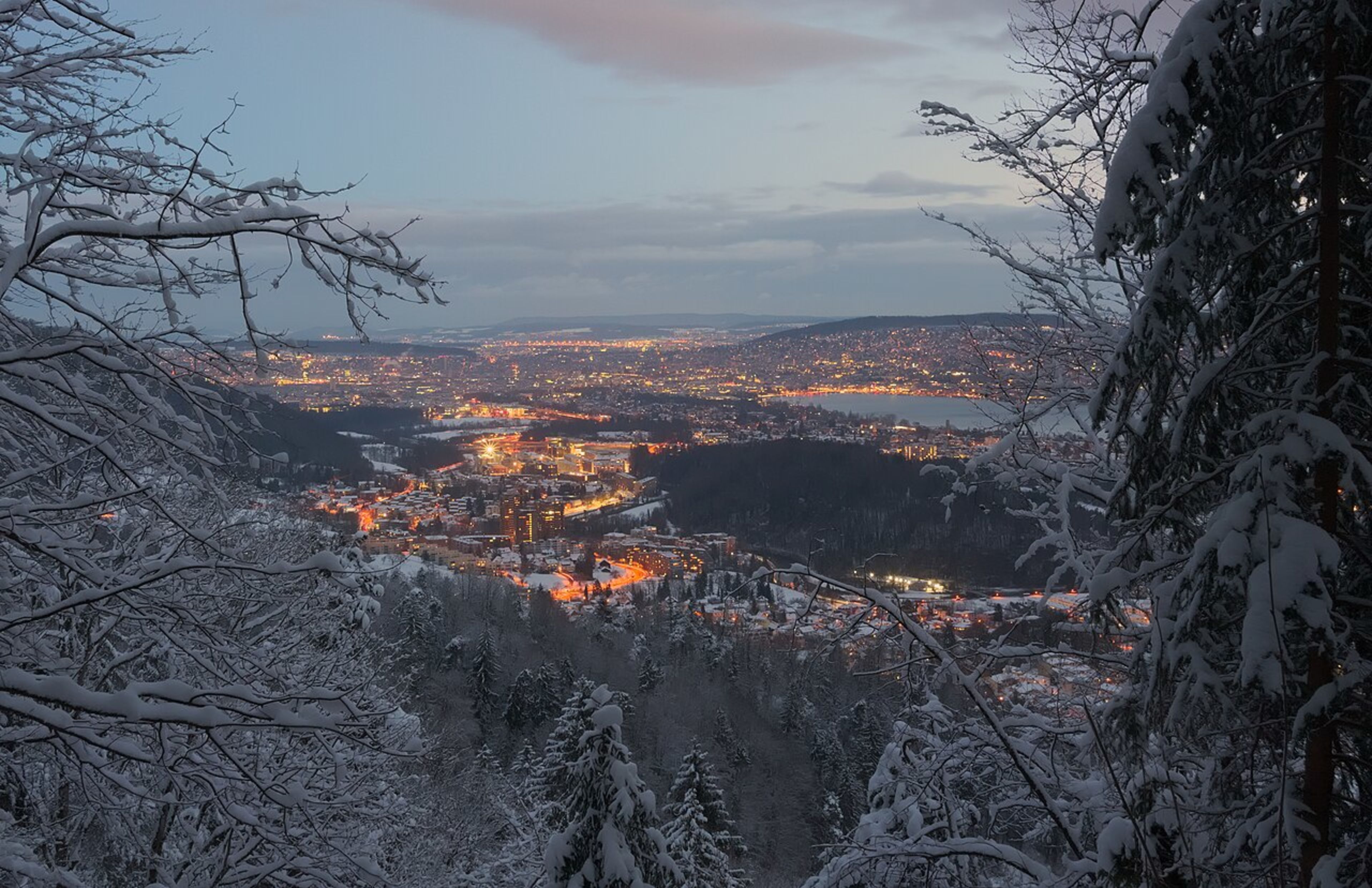 Lake Zurich