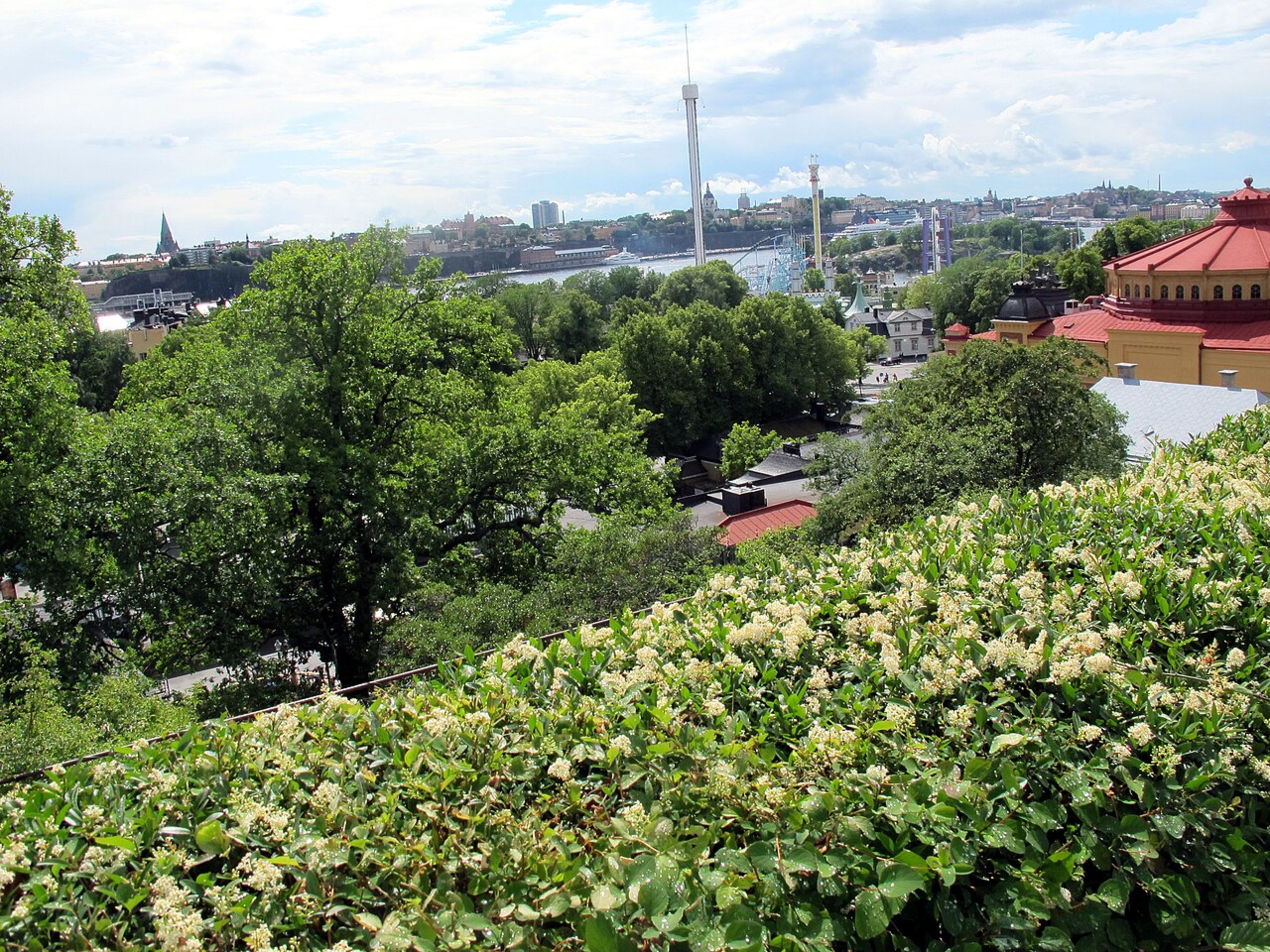 Djurgården Island